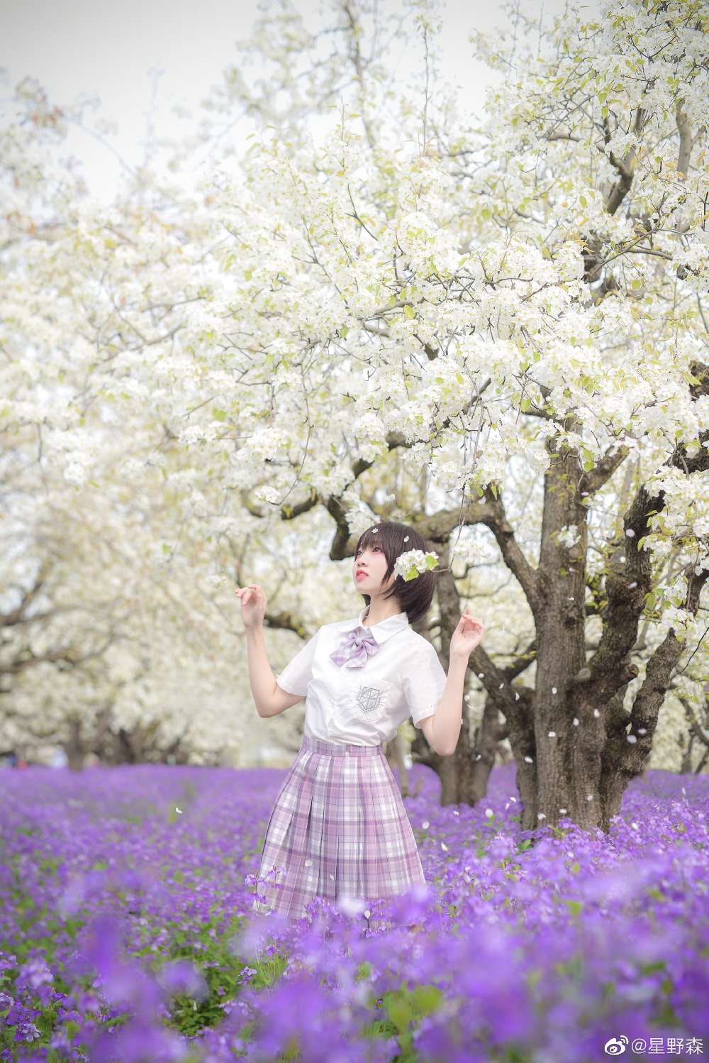 6a62bbcba8585.jpg