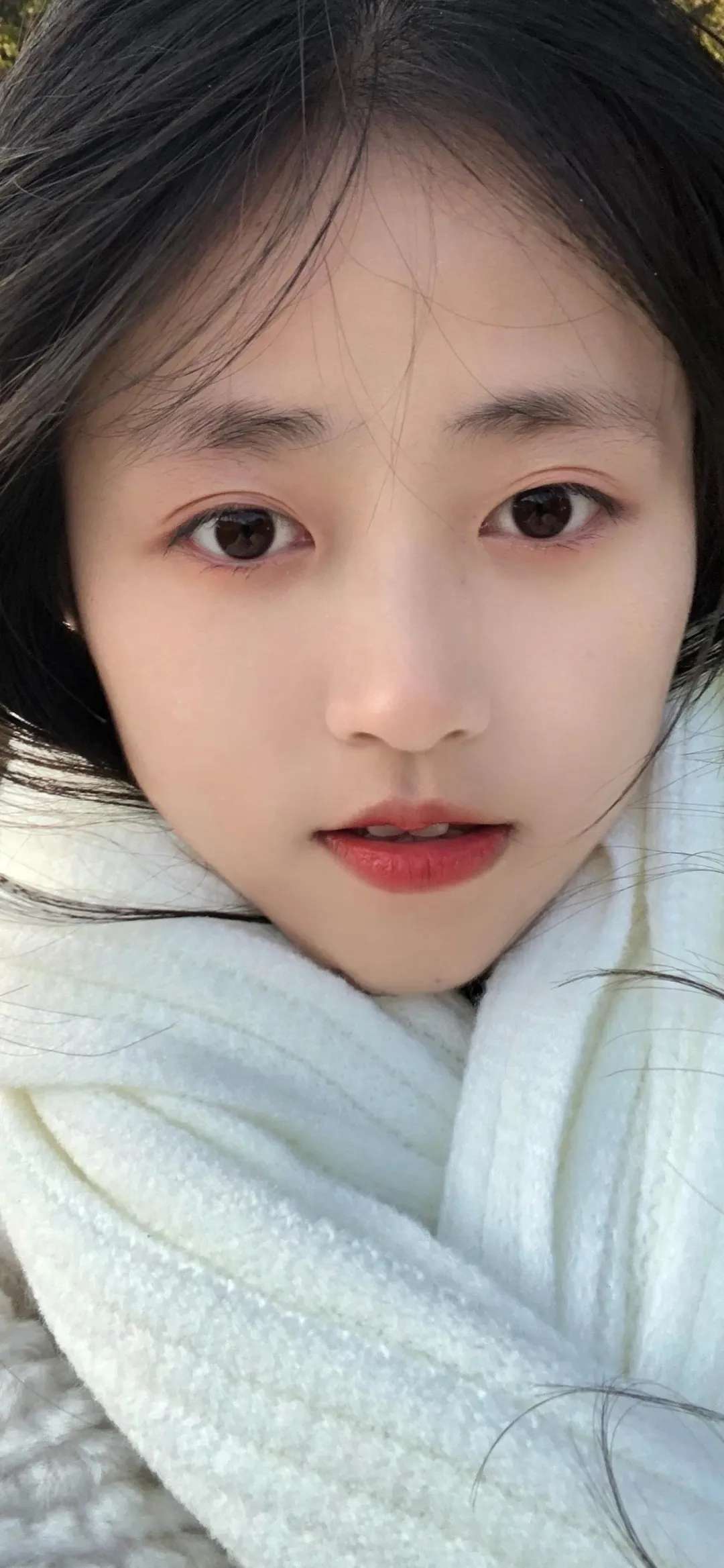6a62bcb20f924.jpg