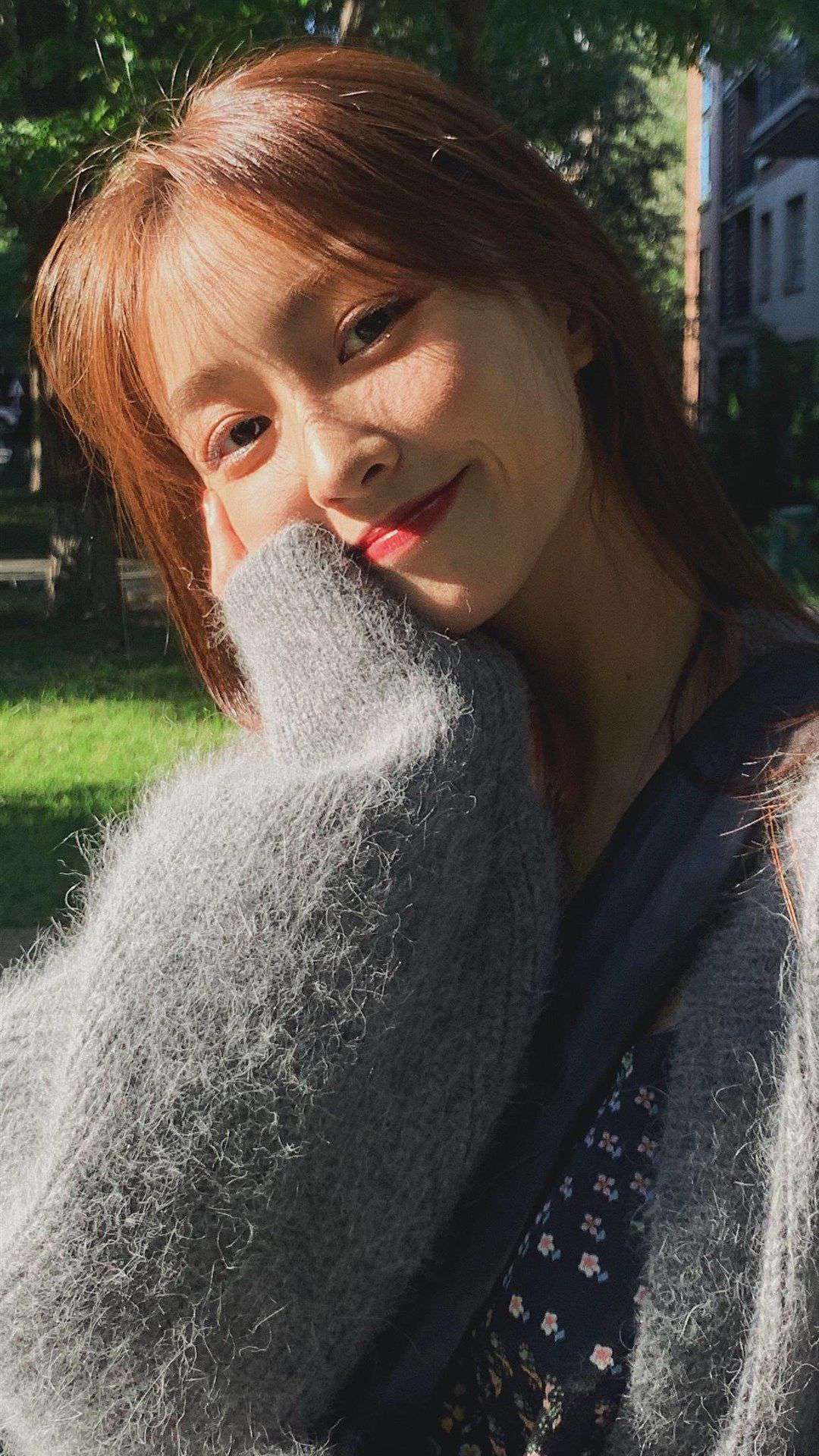 6a62bd19e768c.jpg