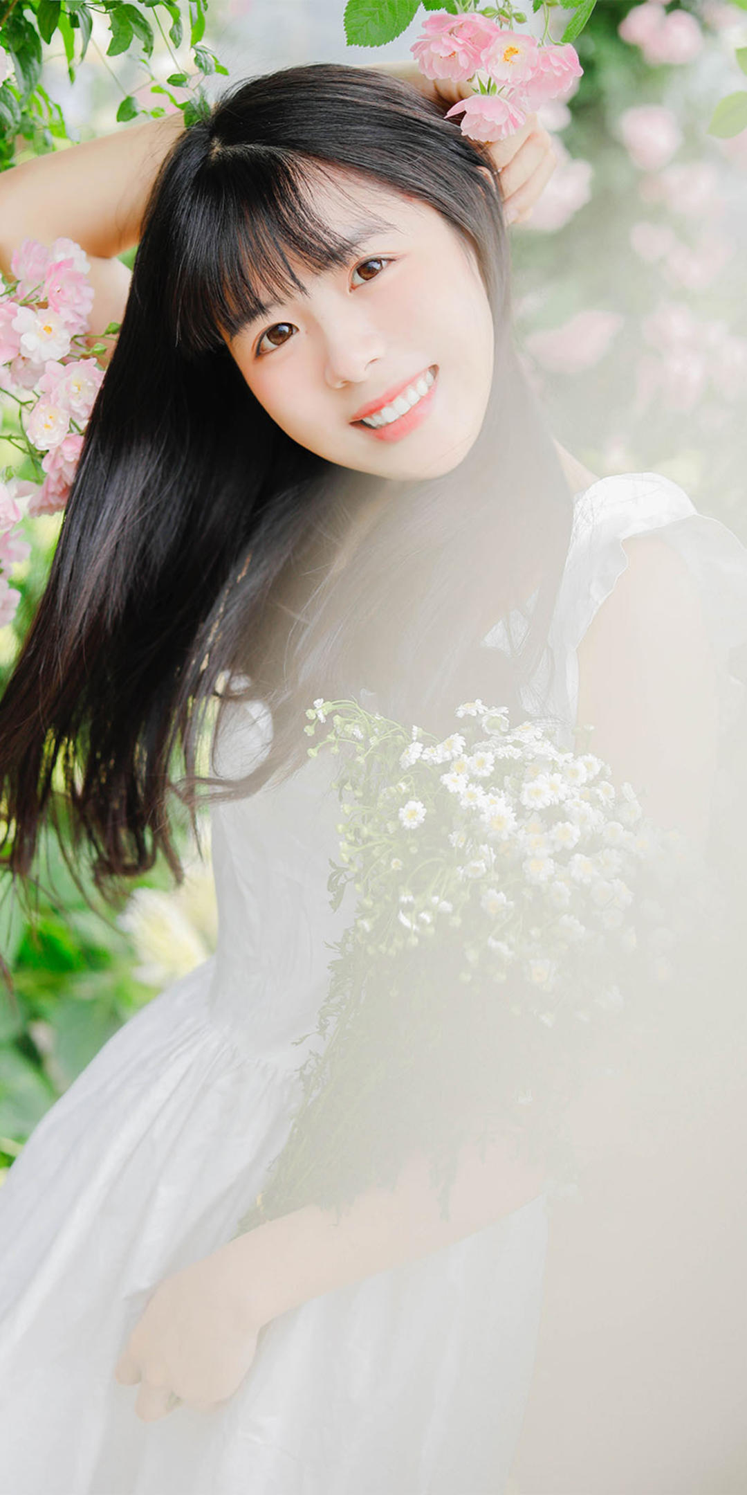 6a62bded8f805.jpg