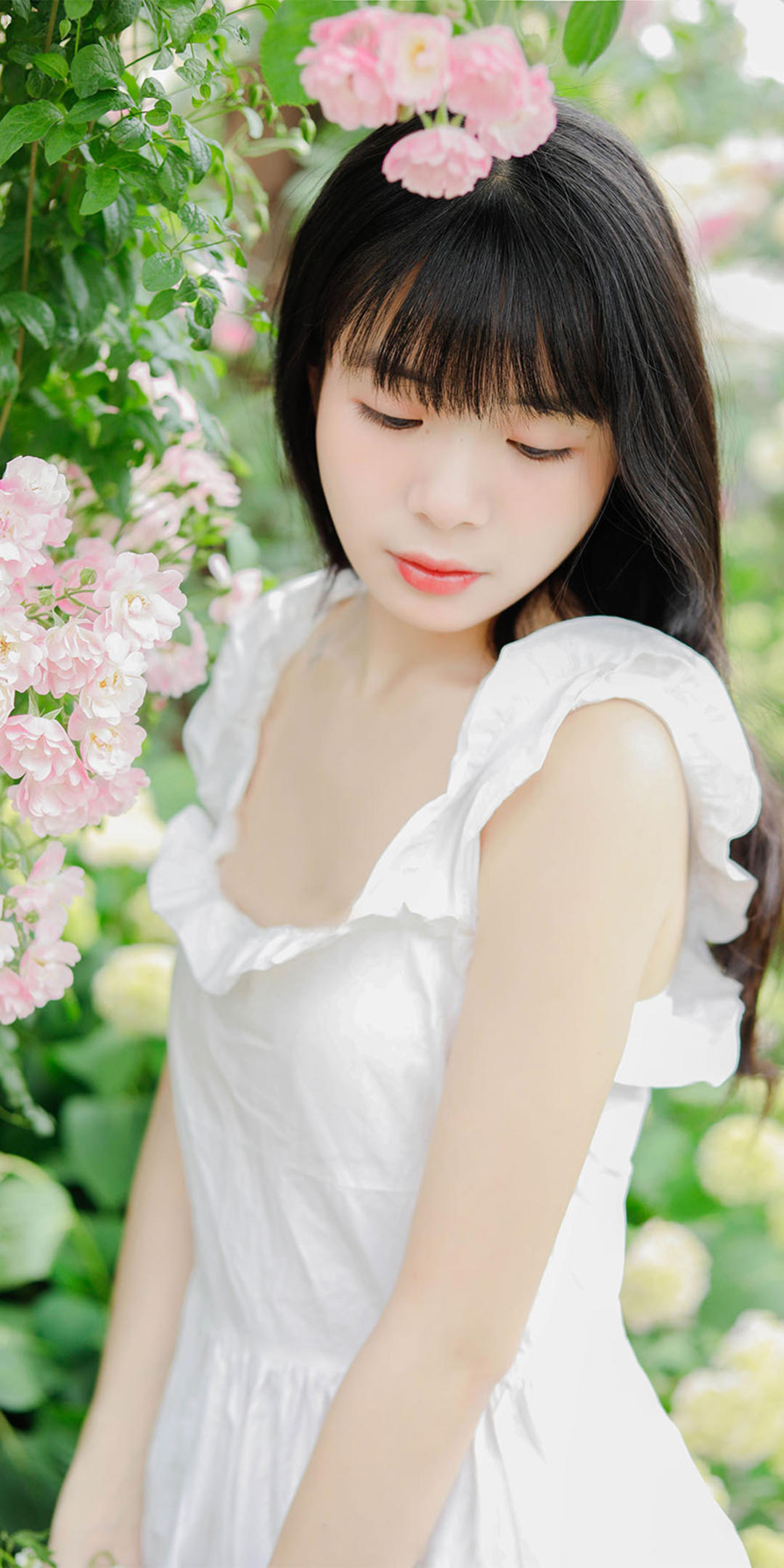 6a62bdef6998d.jpg