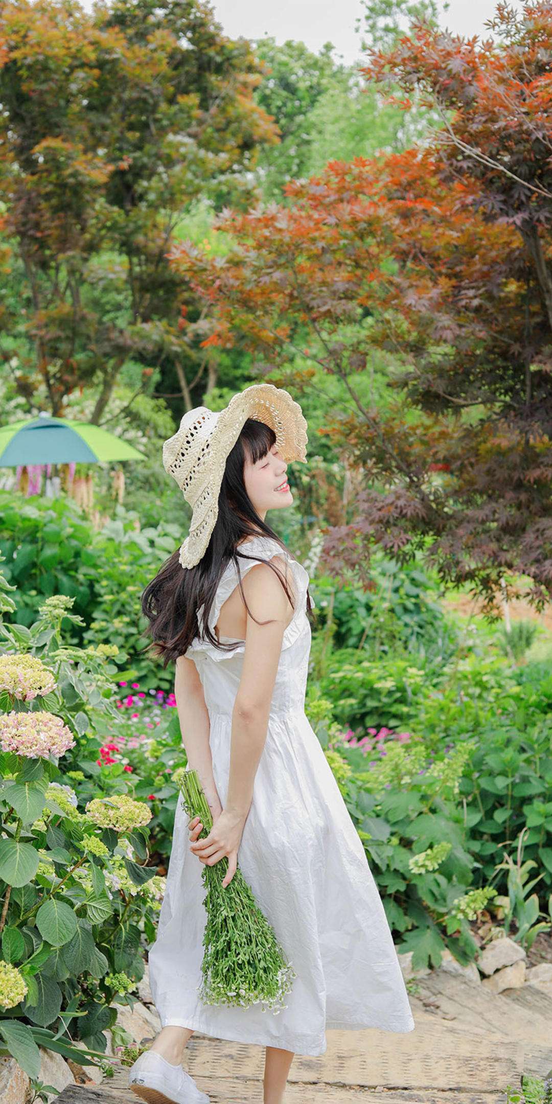 6a62bdf0a6a36.jpg