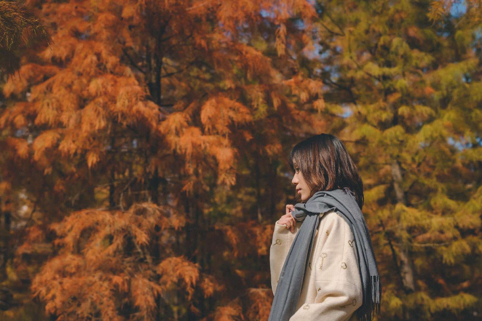 6a62bef40381d.jpg