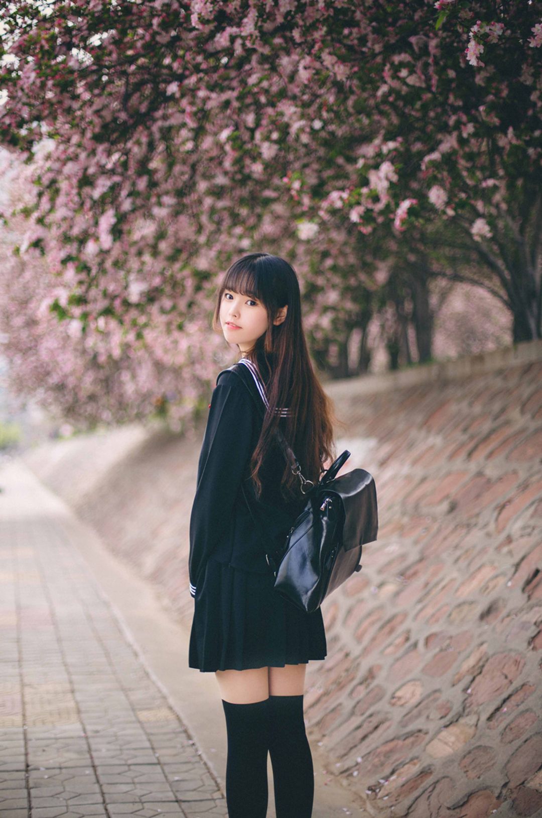 6a62bf6c44a6d.jpg