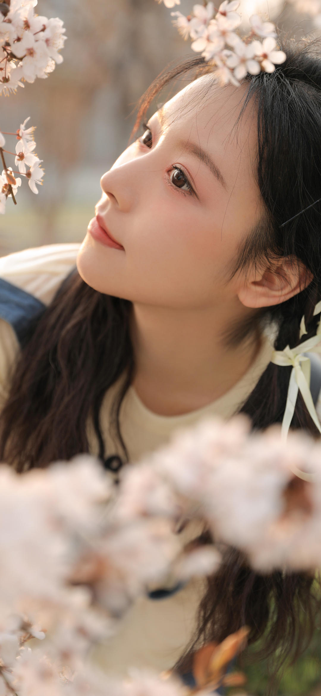6a62bfaa33cc5.jpg