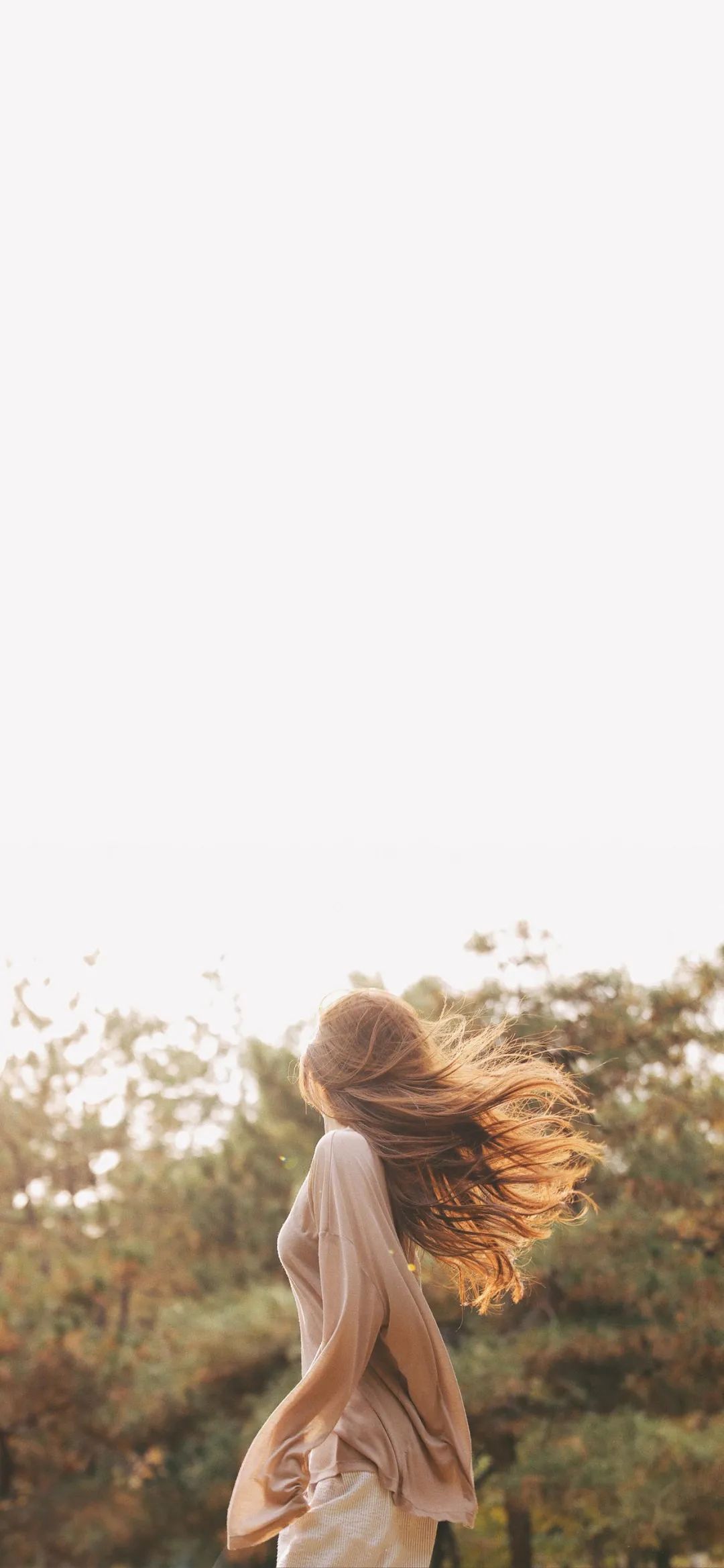 6a62bfc969f79.jpg