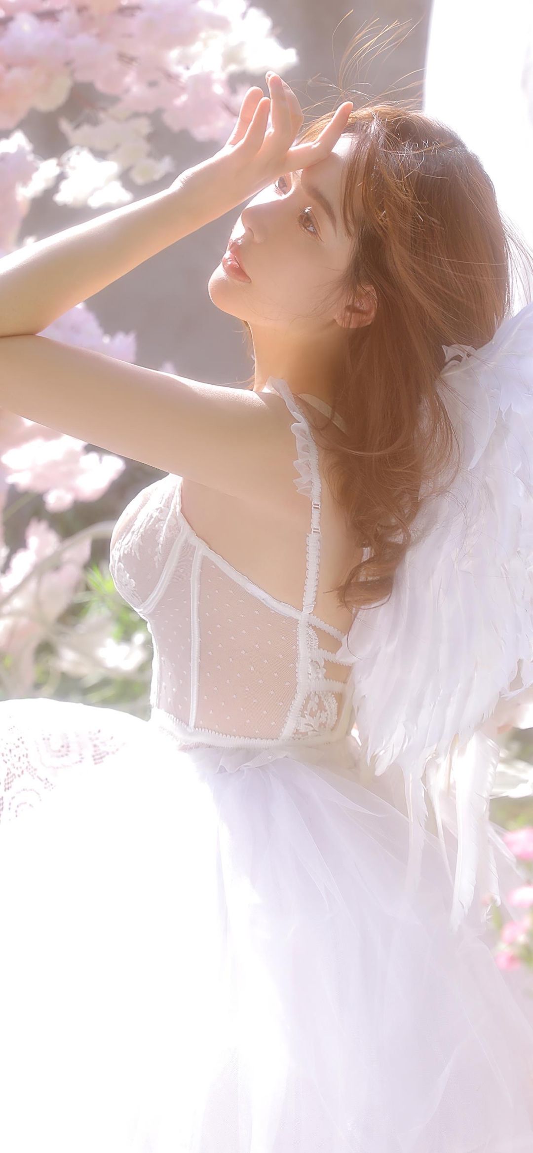 6a62c00abeb3a.jpg