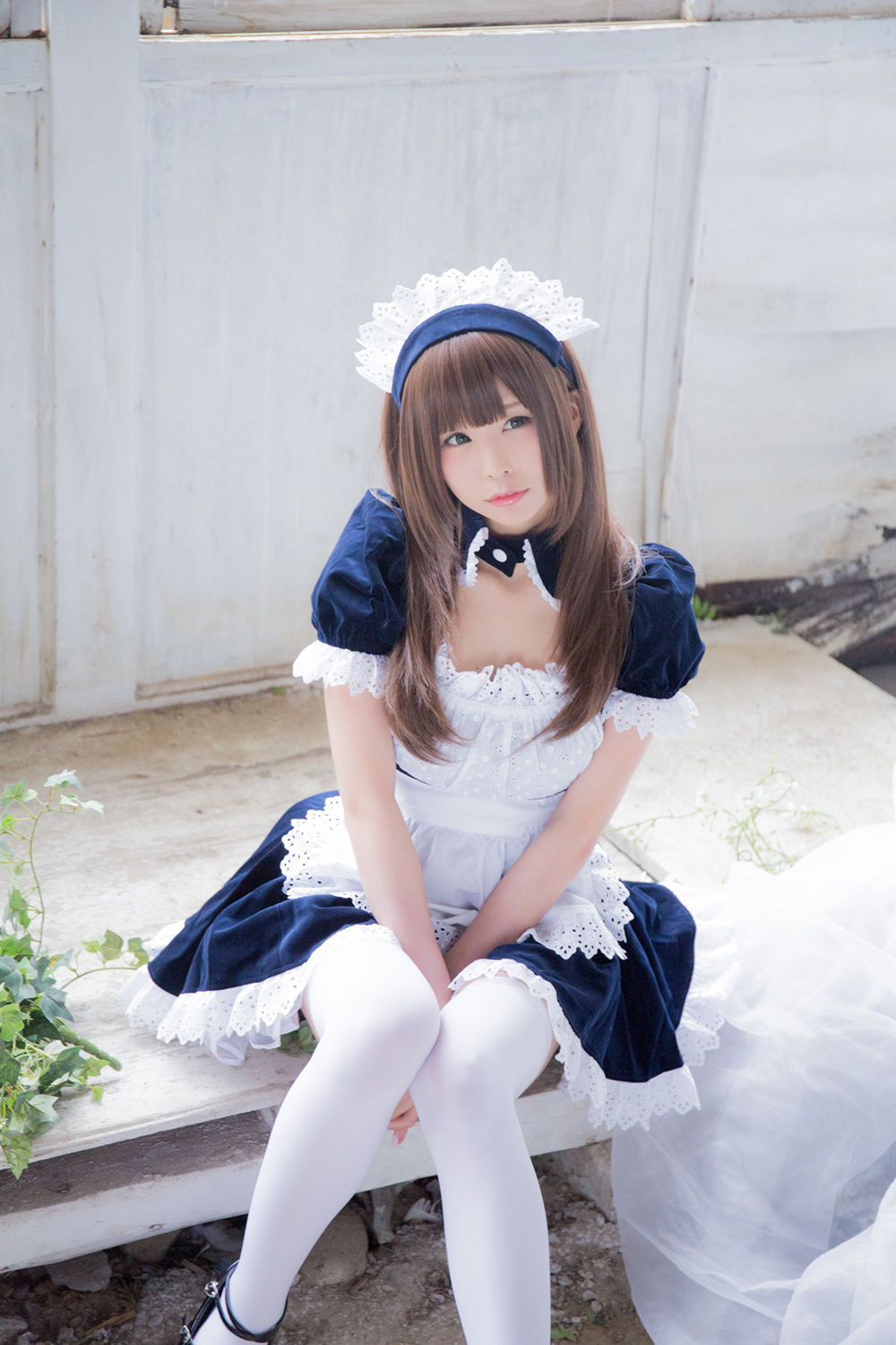 6a62c049bf268.jpg