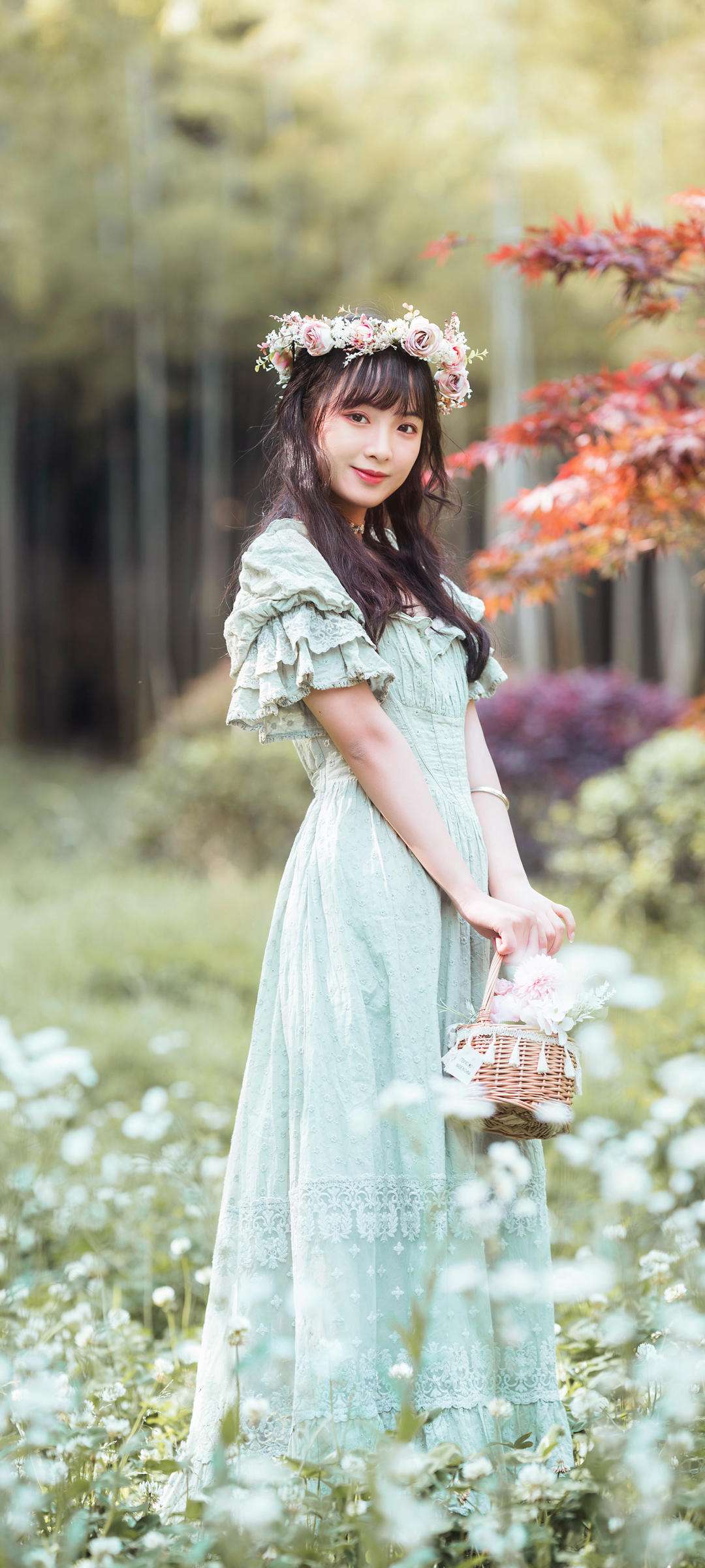 6a62c155337c6.jpg