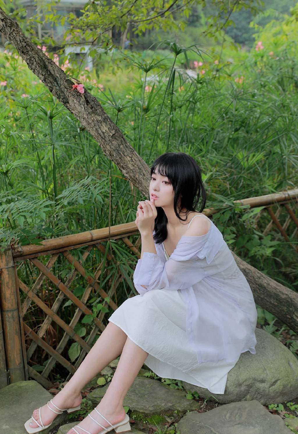 6a62c1ae0e440.jpg
