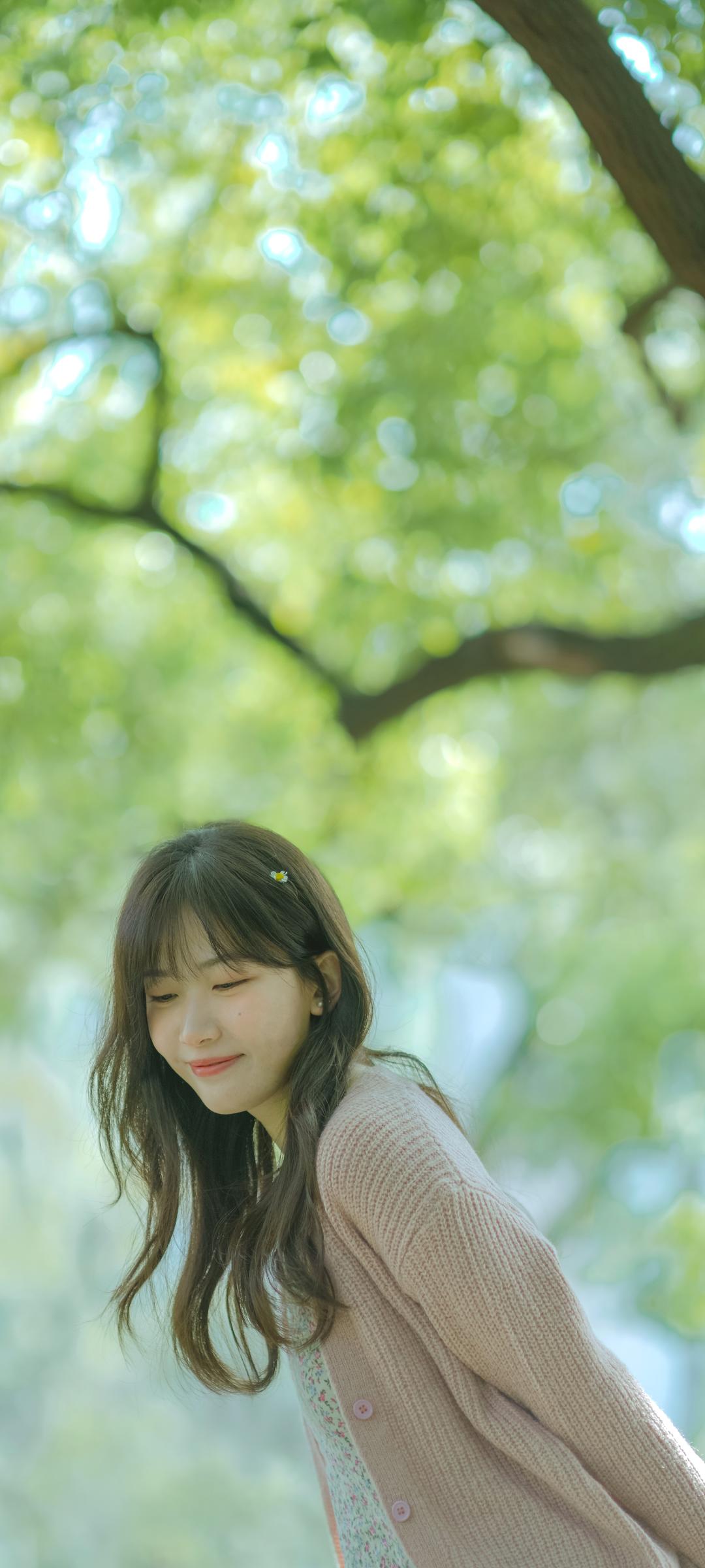 6a62c1e245e15.jpg