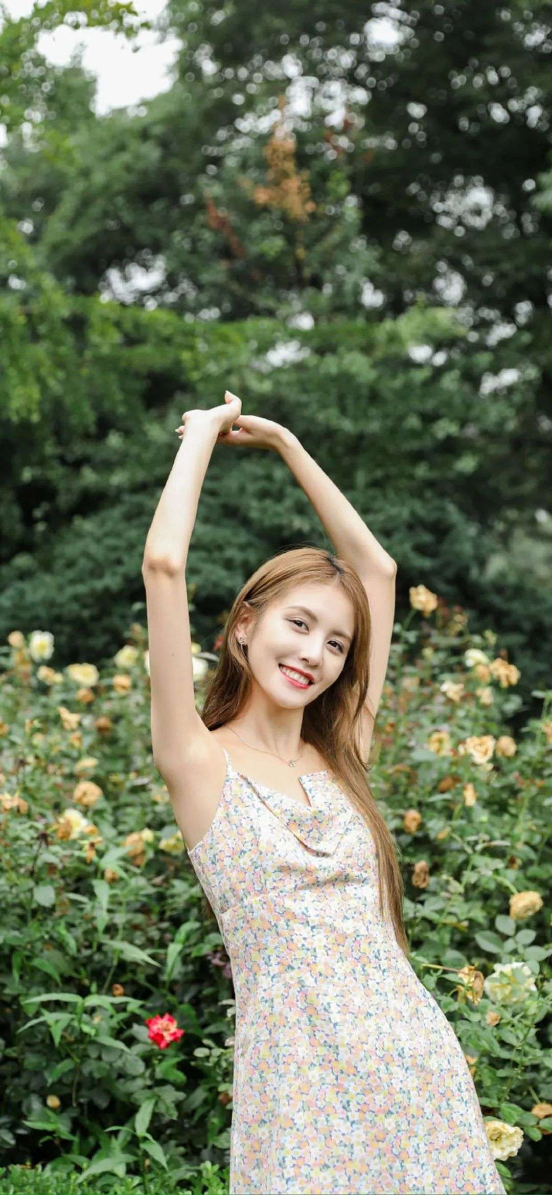 6a62c26f31f99.jpg