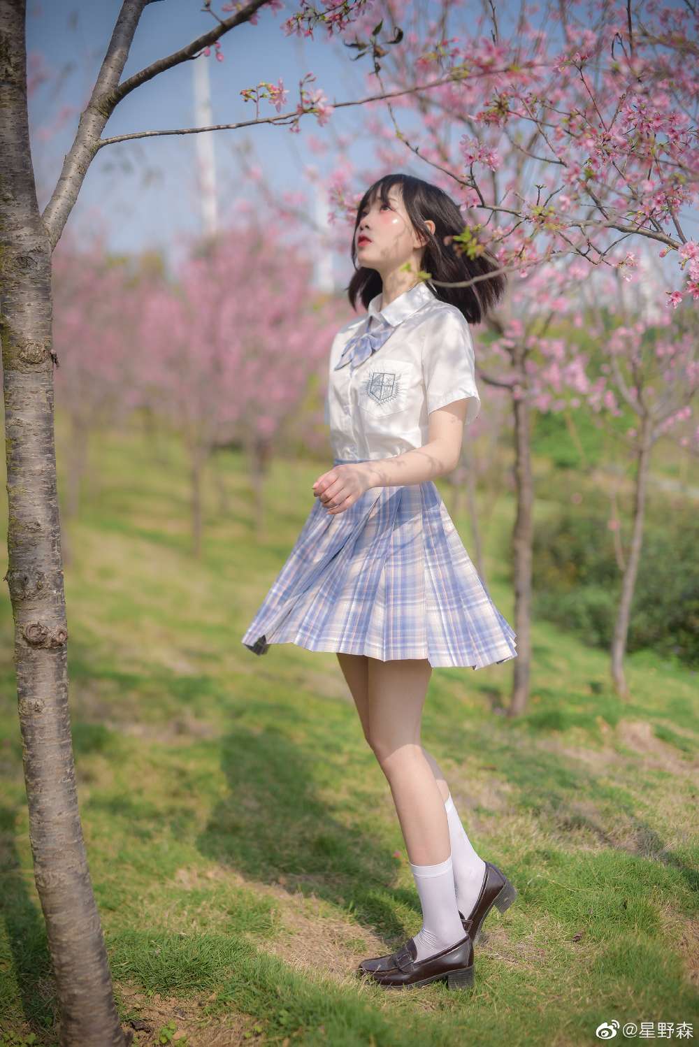 6a62c2ad9544b.jpg