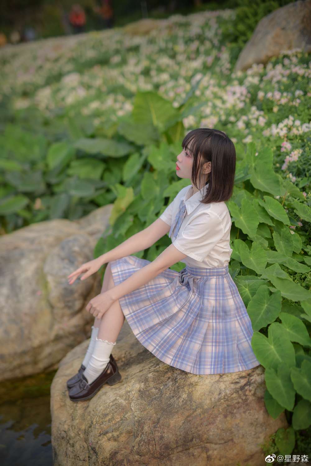 6a62c2ae2fb27.jpg