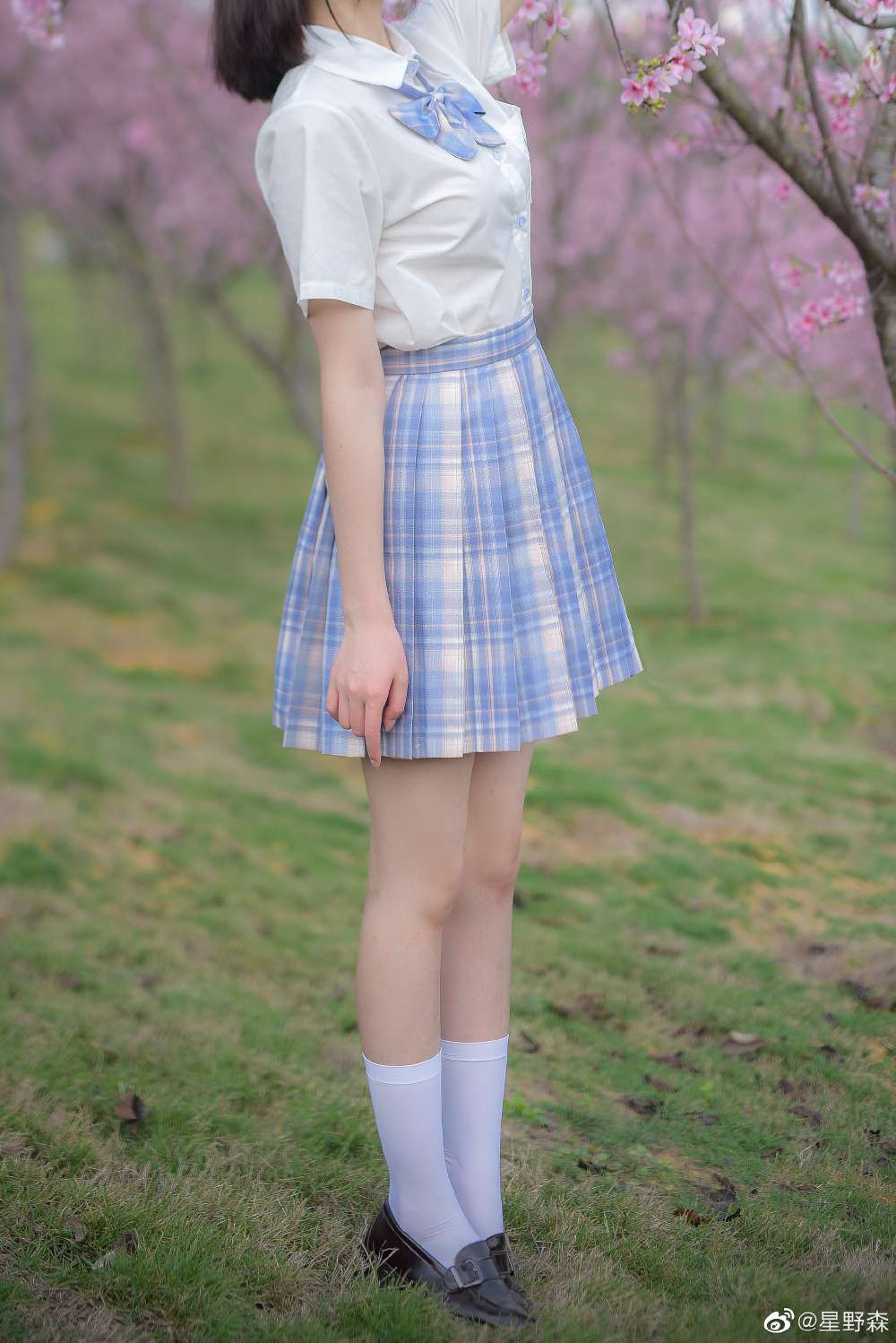 6a62c2aebaef1.jpg