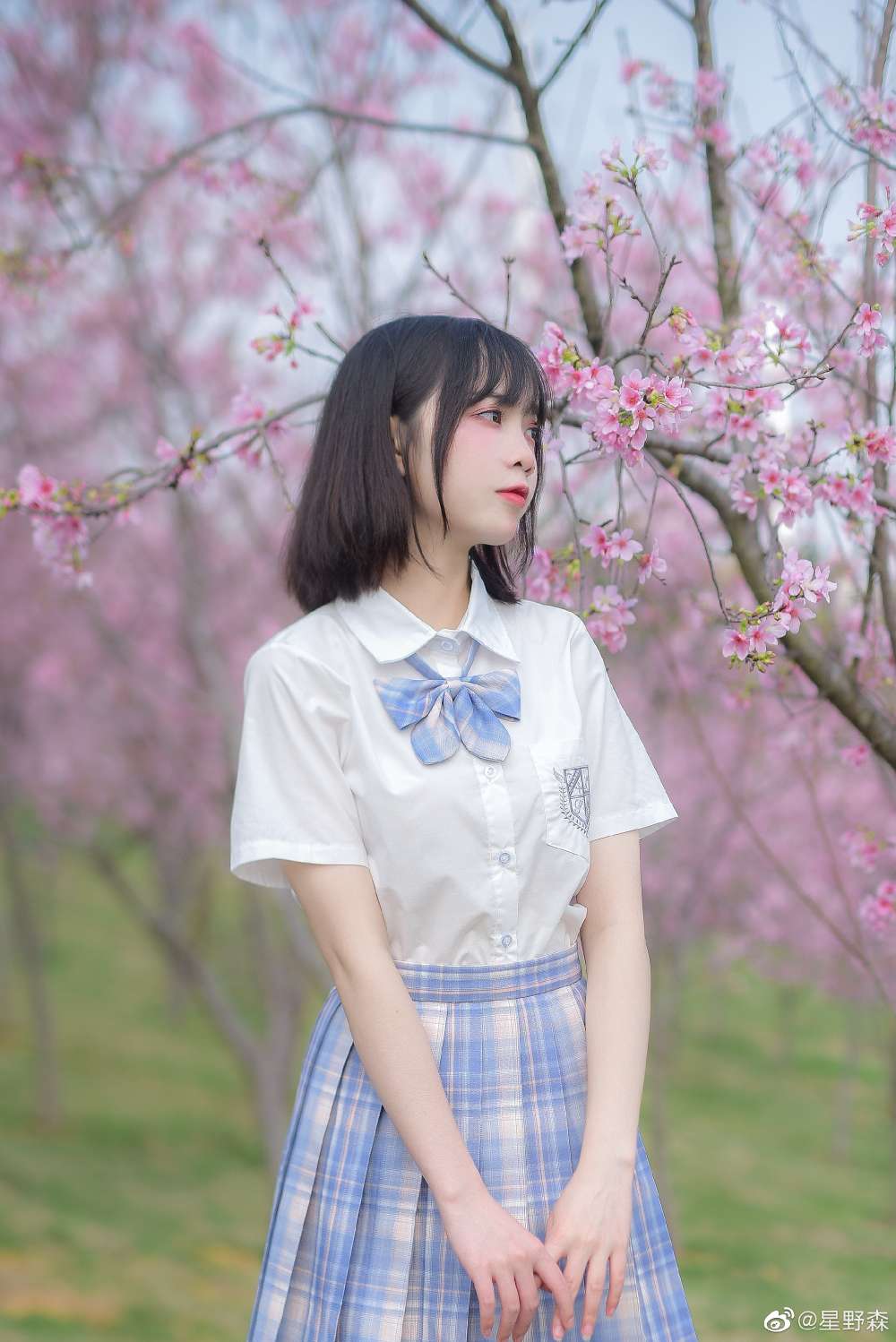 6a62c2af373c3.jpg