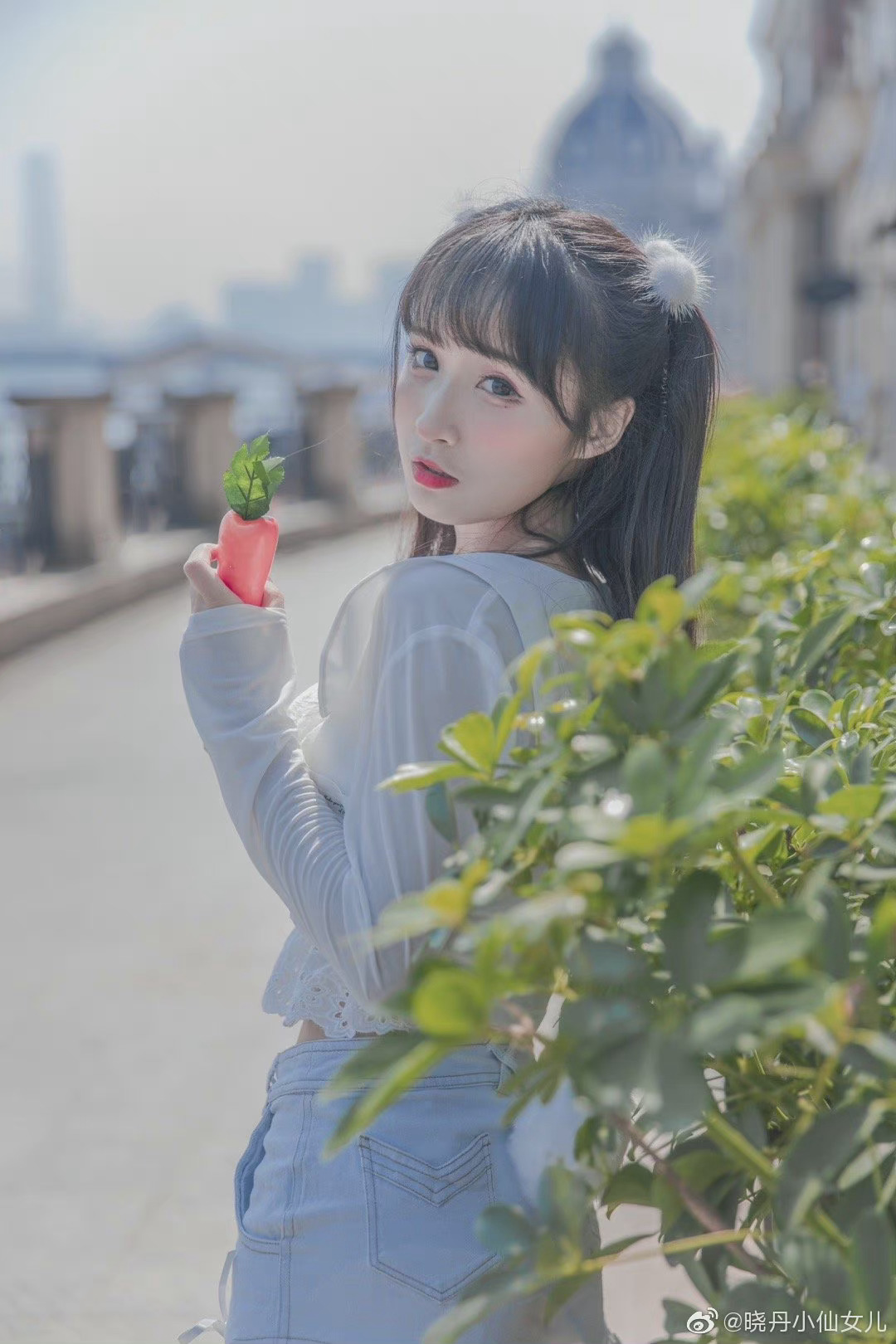 6a62c2f4a2d46.jpg