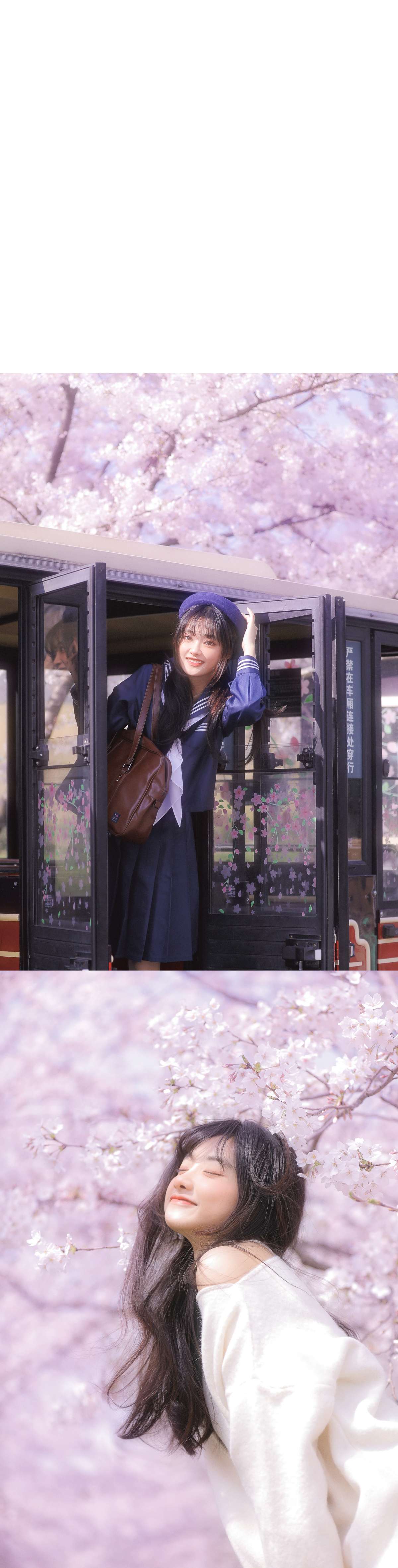6a62c3570d1ac.jpg