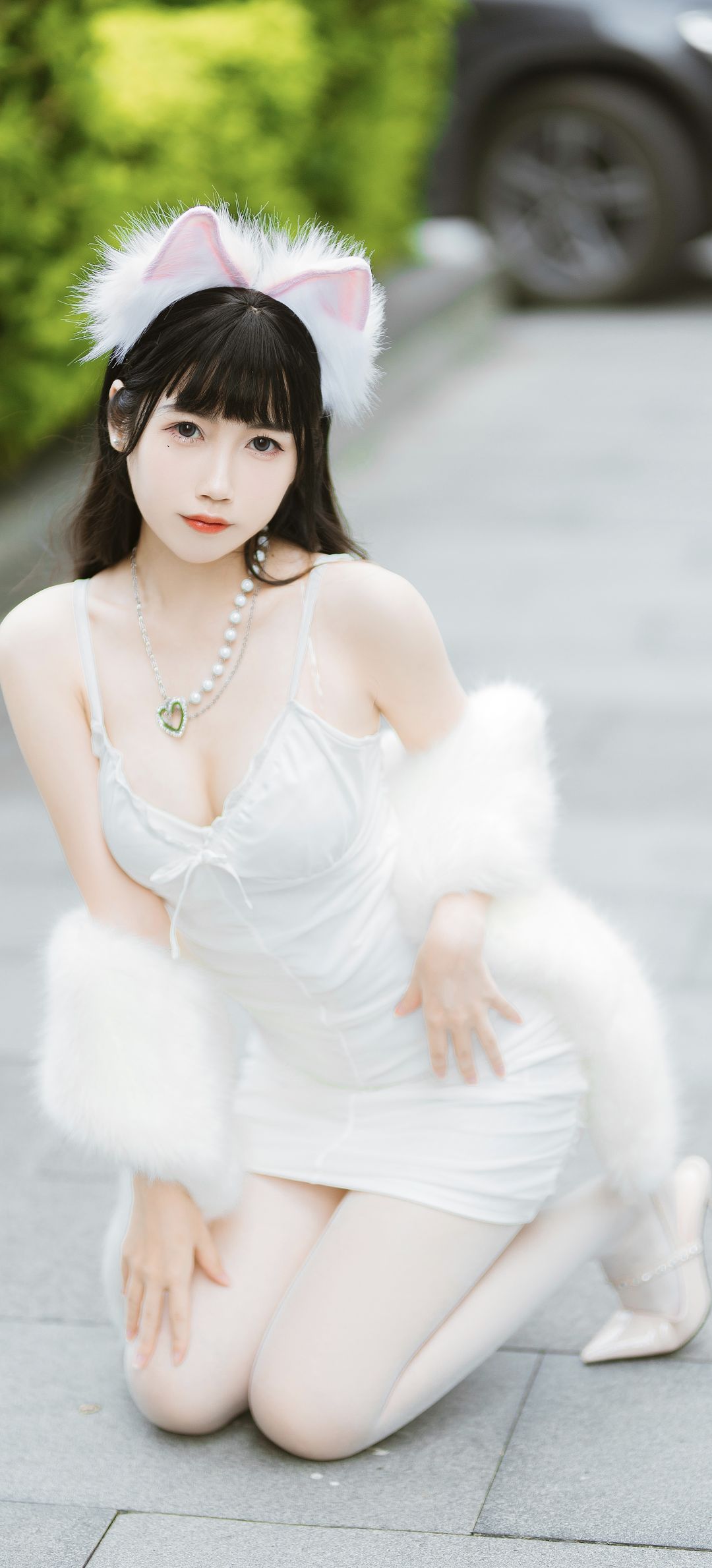 6a62c38f4cd55.jpg