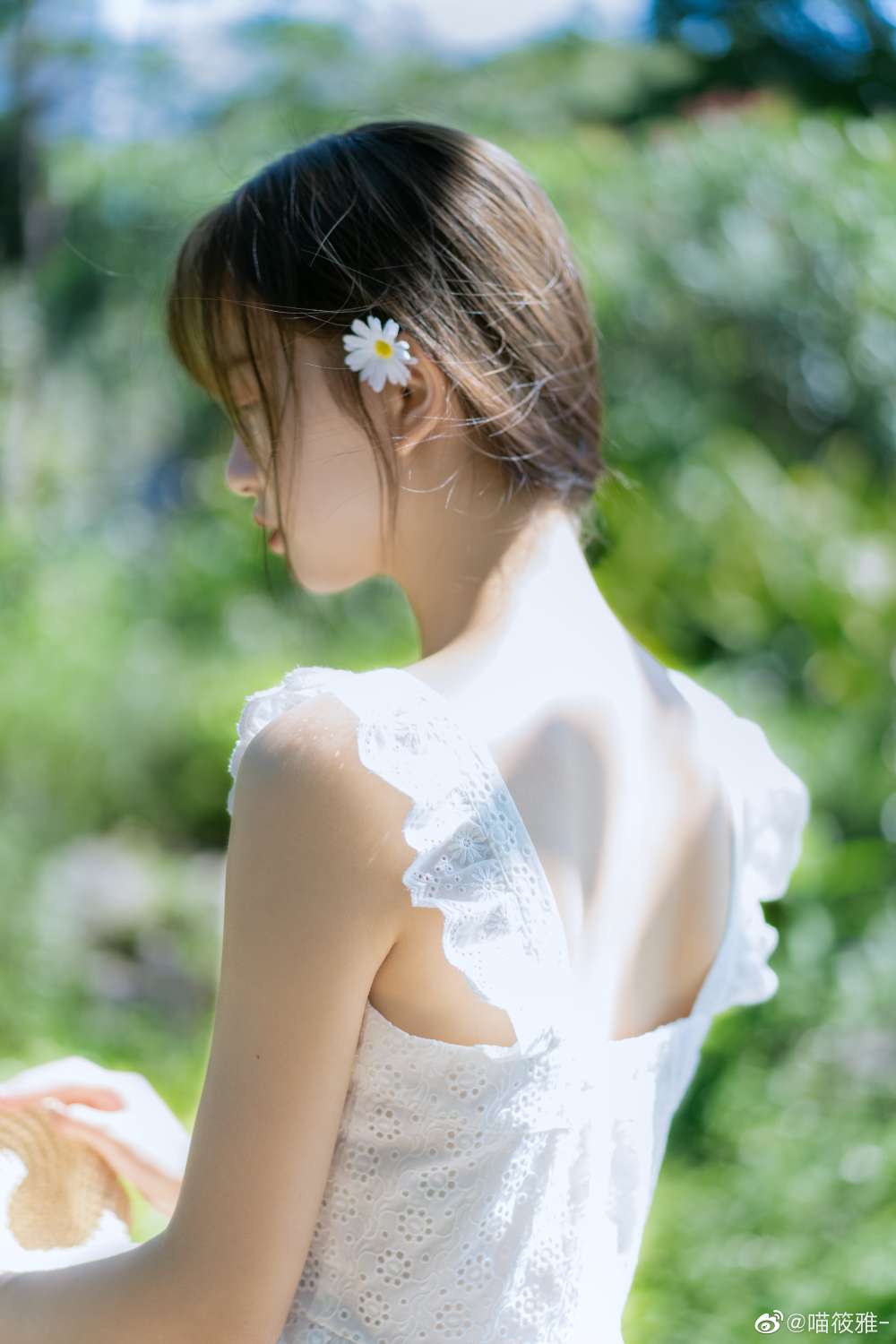 6a62c39af3864.jpg