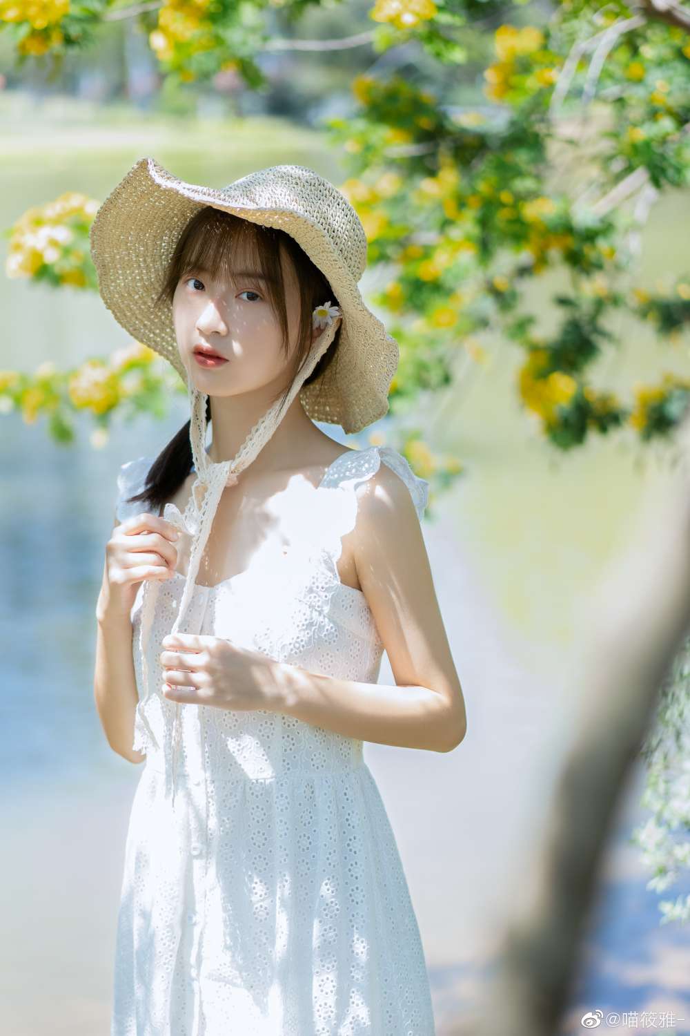 6a62c39ca9bfb.jpg
