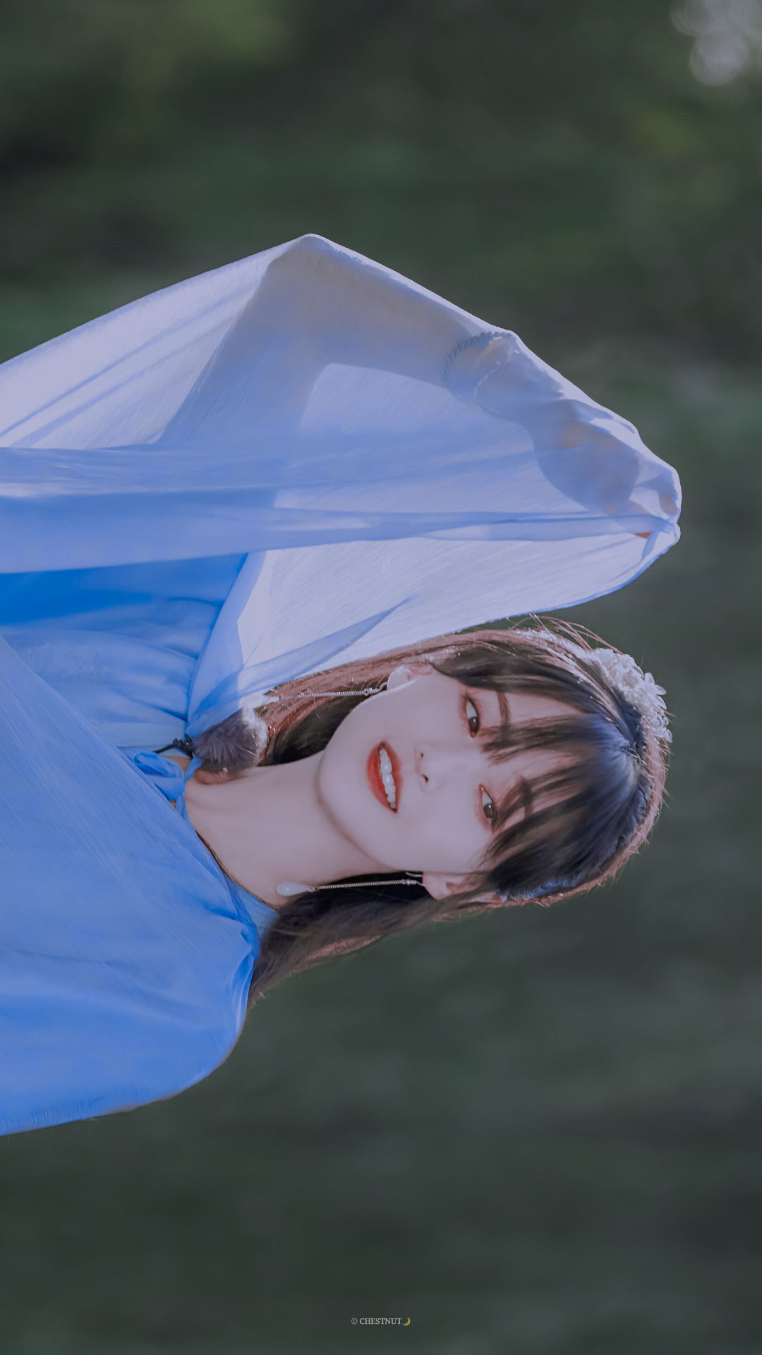 6a62c3a20537e.jpg