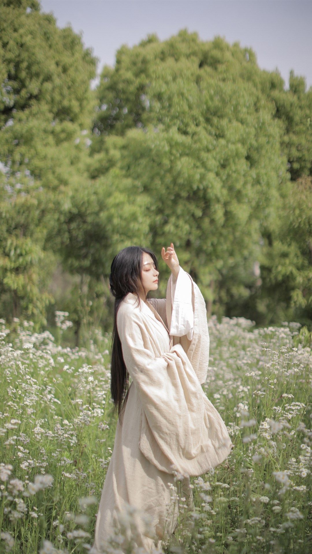 6a62c3bcc144e.jpg