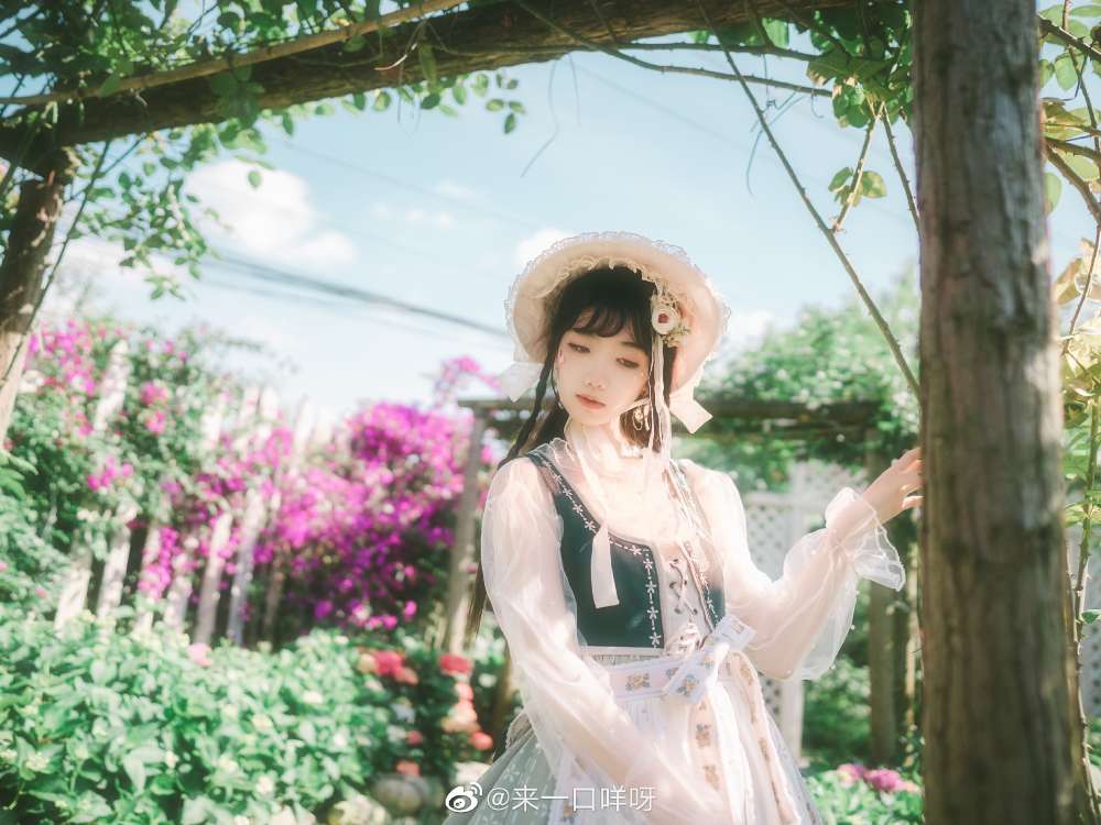 6a62c40a24c9e.jpg