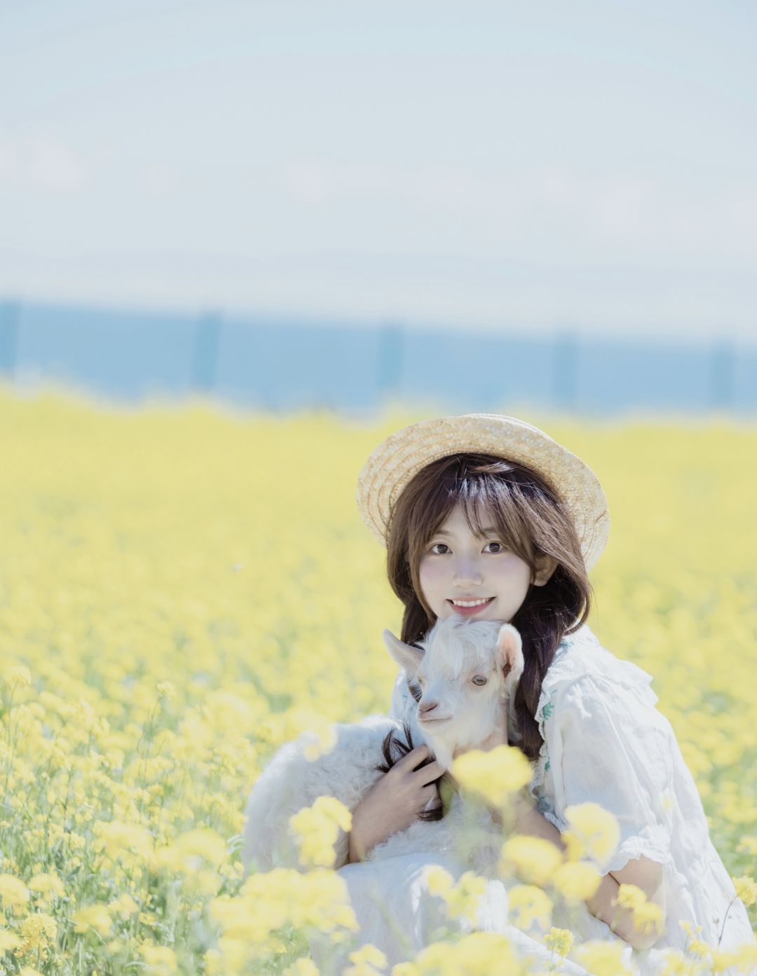 6a62c4199cc04.jpg