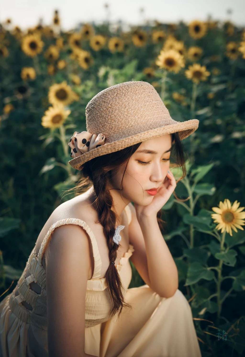 6a62c41cdc447.jpg