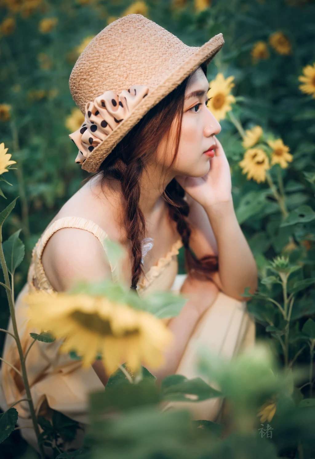 6a62c41d620dd.jpg