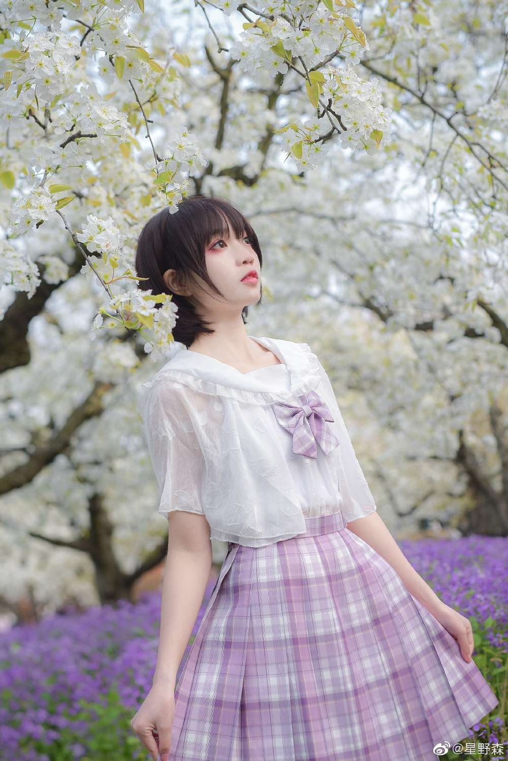 6a62c426dd9a0.jpg
