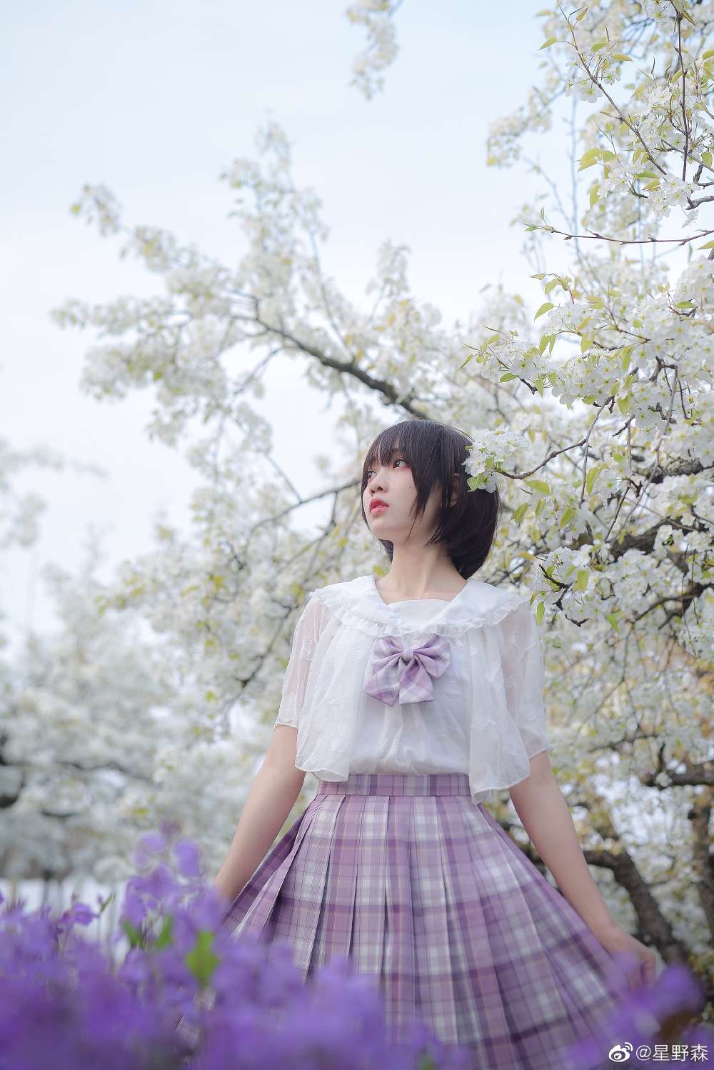 6a62c42809ca0.jpg