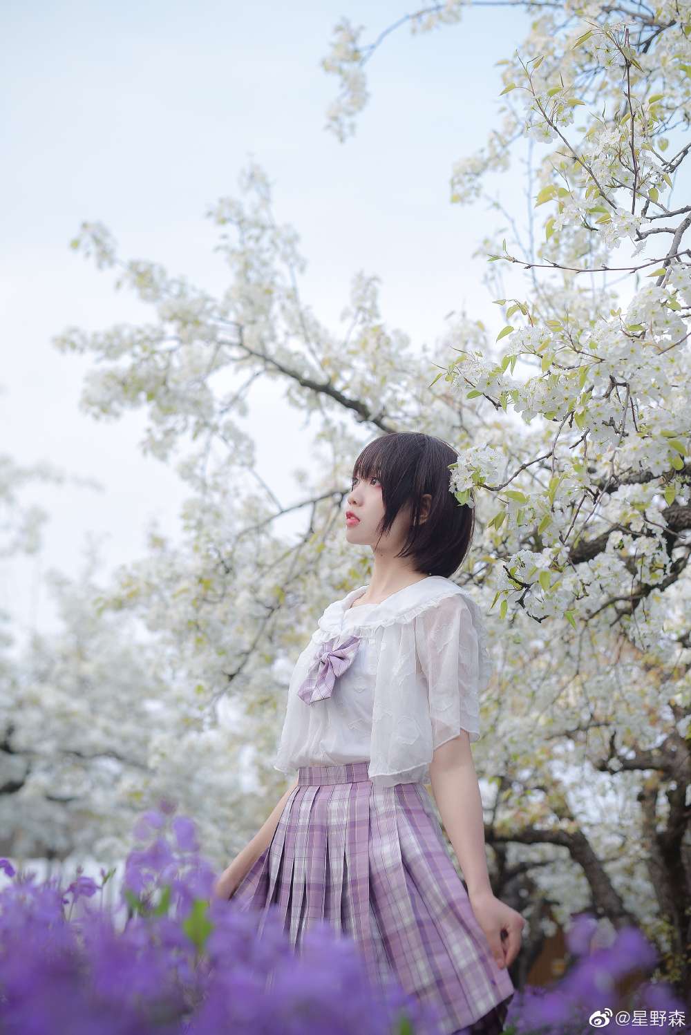 6a62c42866f28.jpg