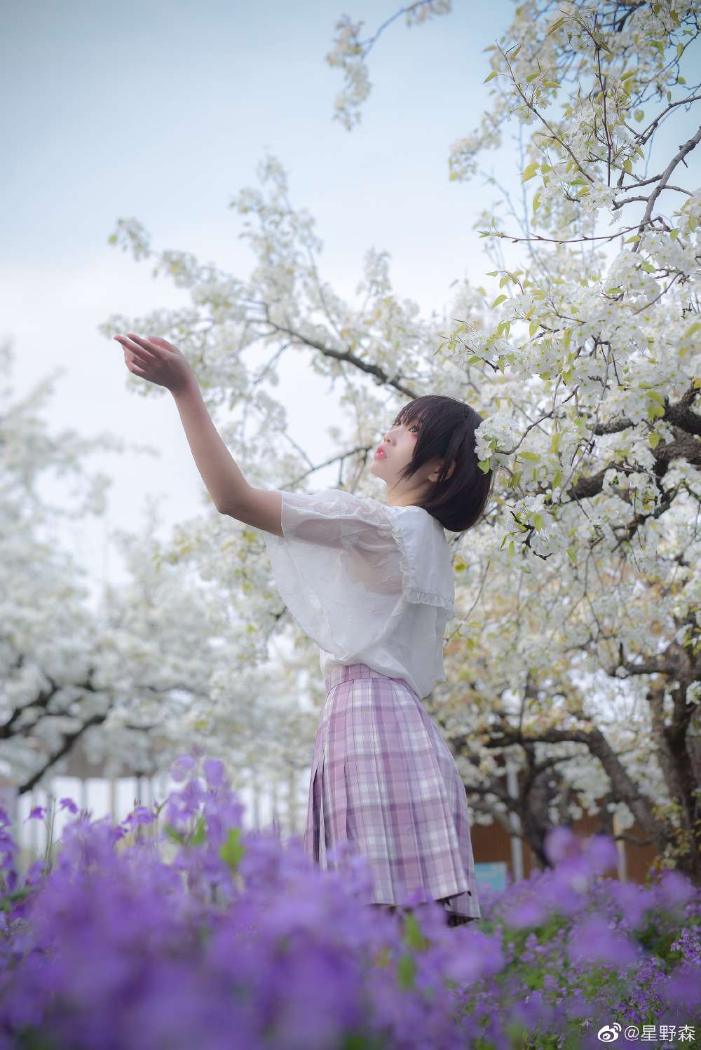 6a62c428bd43e.jpg