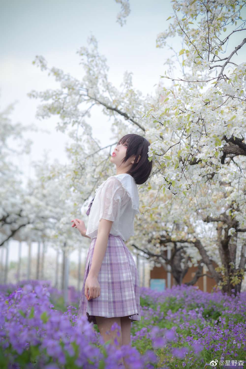 6a62c42c0c97c.jpg