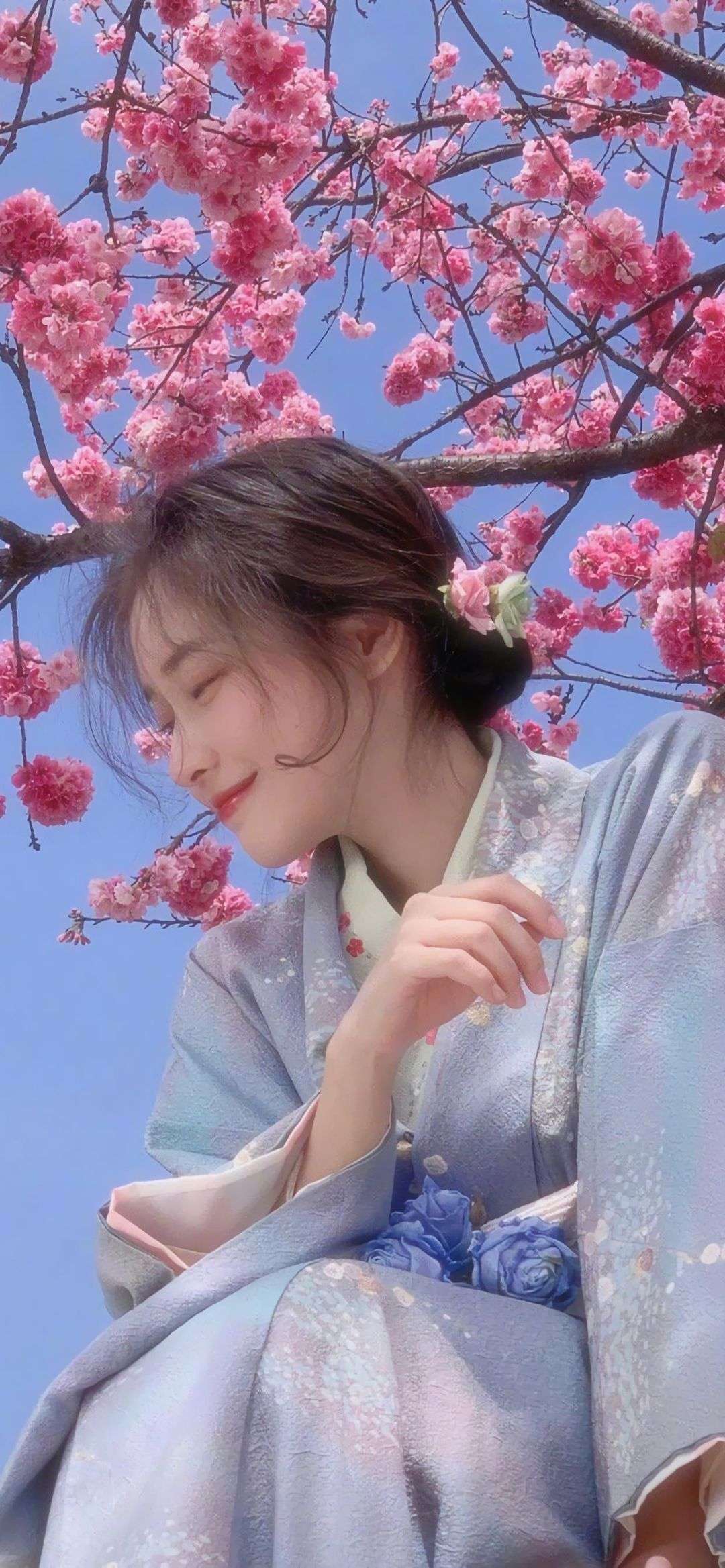 6a62c43c5d3f1.jpg