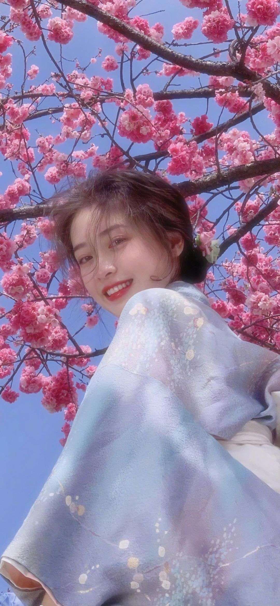6a62c43ec79e8.jpg