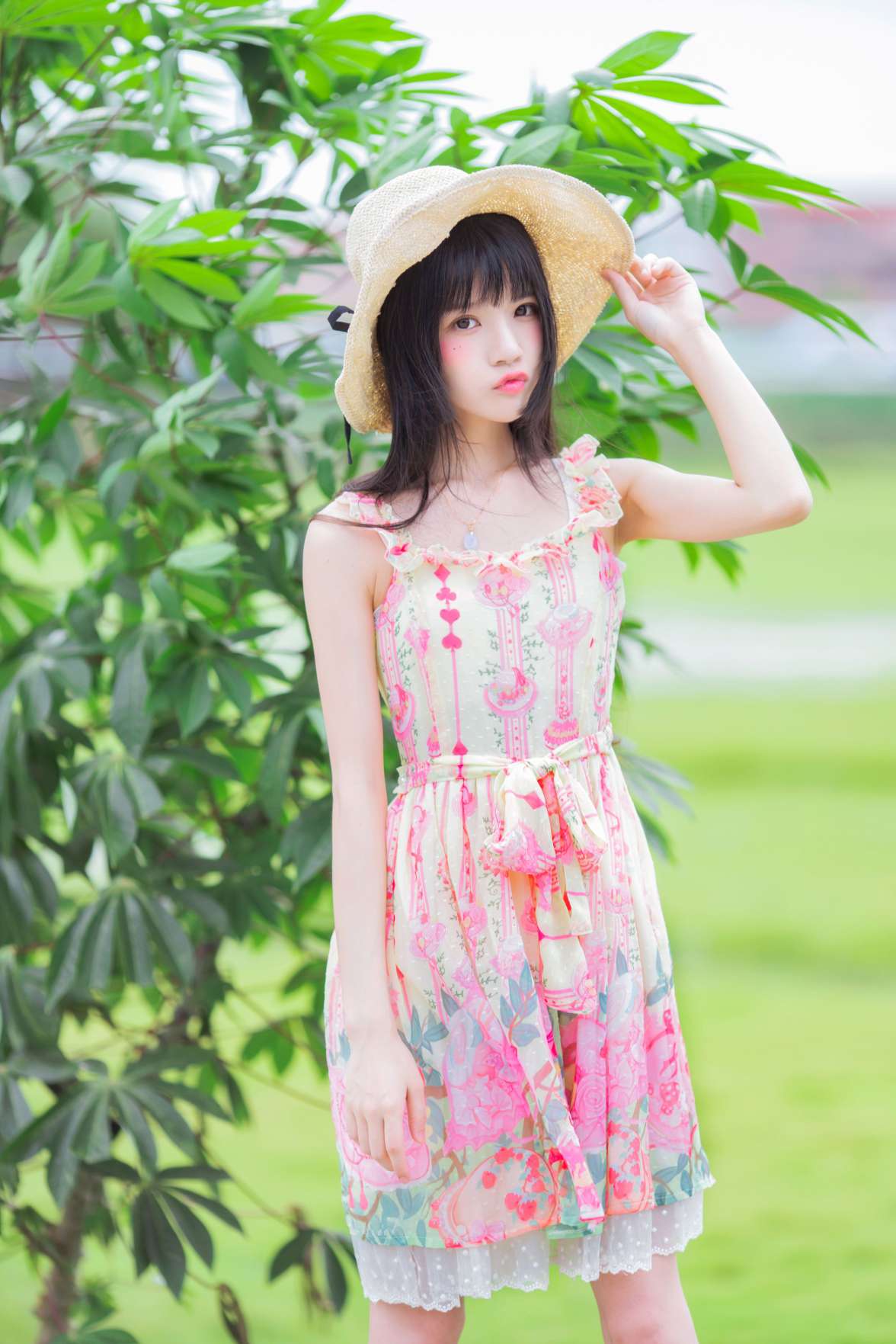 6a62c6a7c1ca2.jpg
