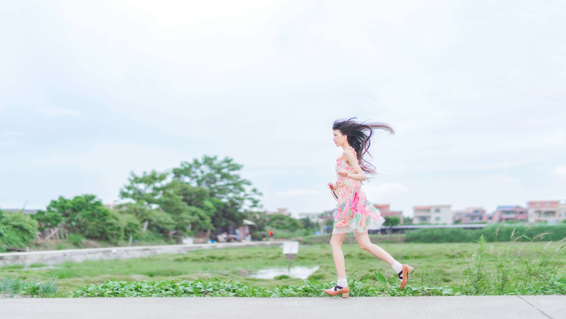 6a62c6a805465.jpg