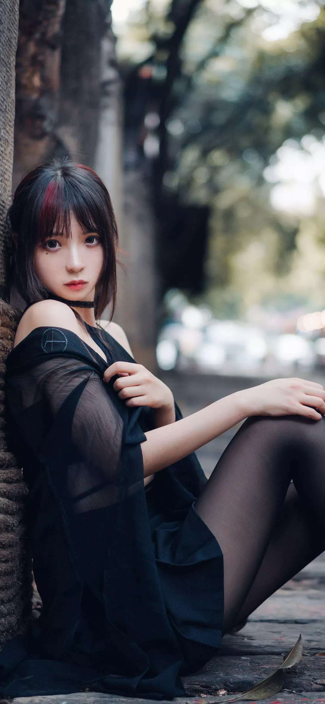 6a62c6c3ec53c.jpg
