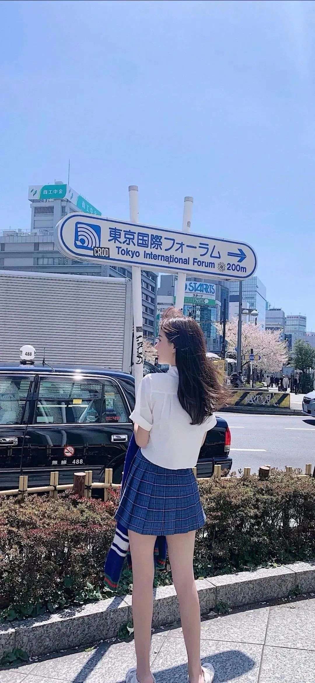 6a62c6c66be84.jpg
