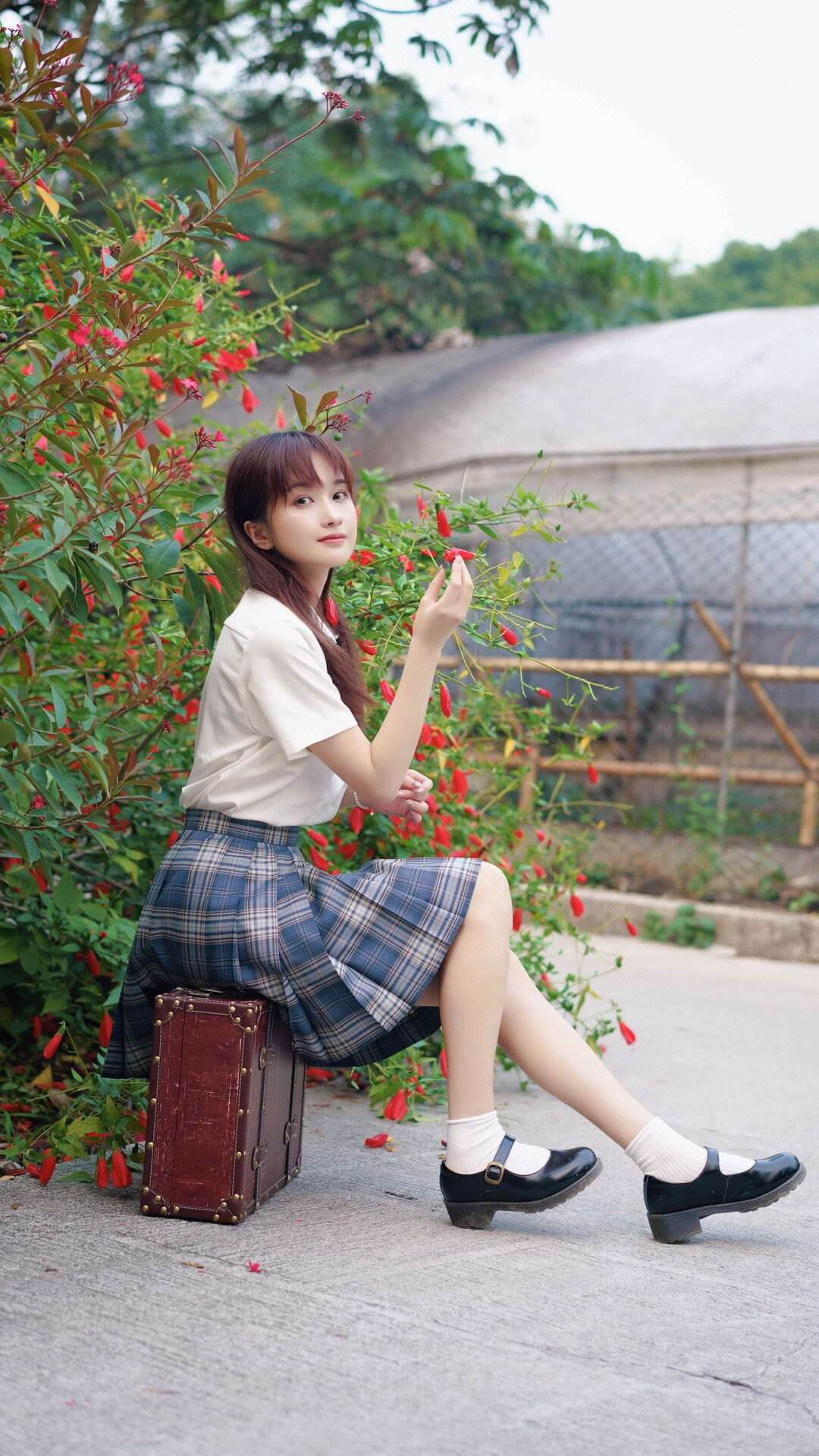 6a62c6da42dfe.jpg