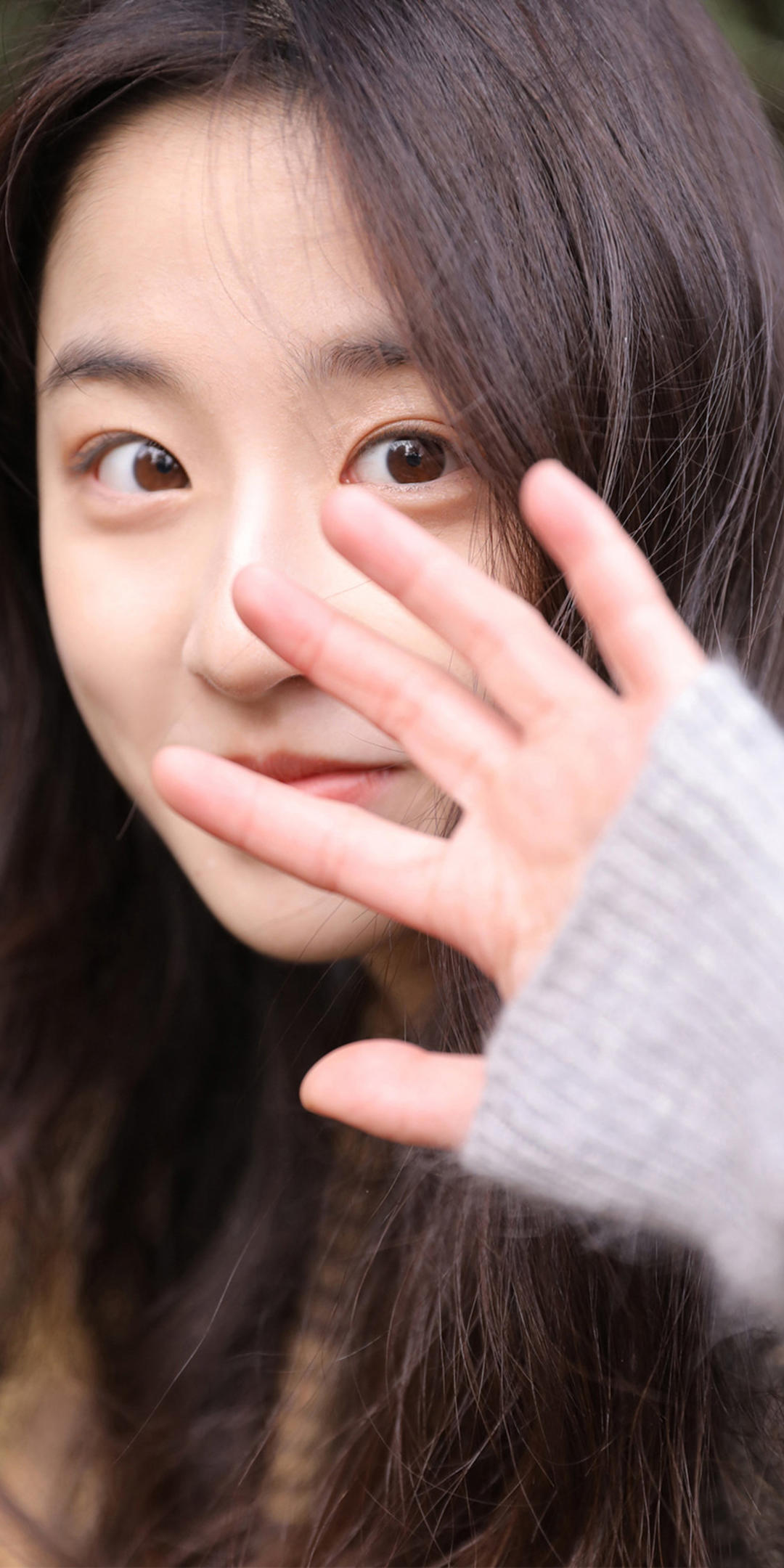 6a62c753729e2.jpg