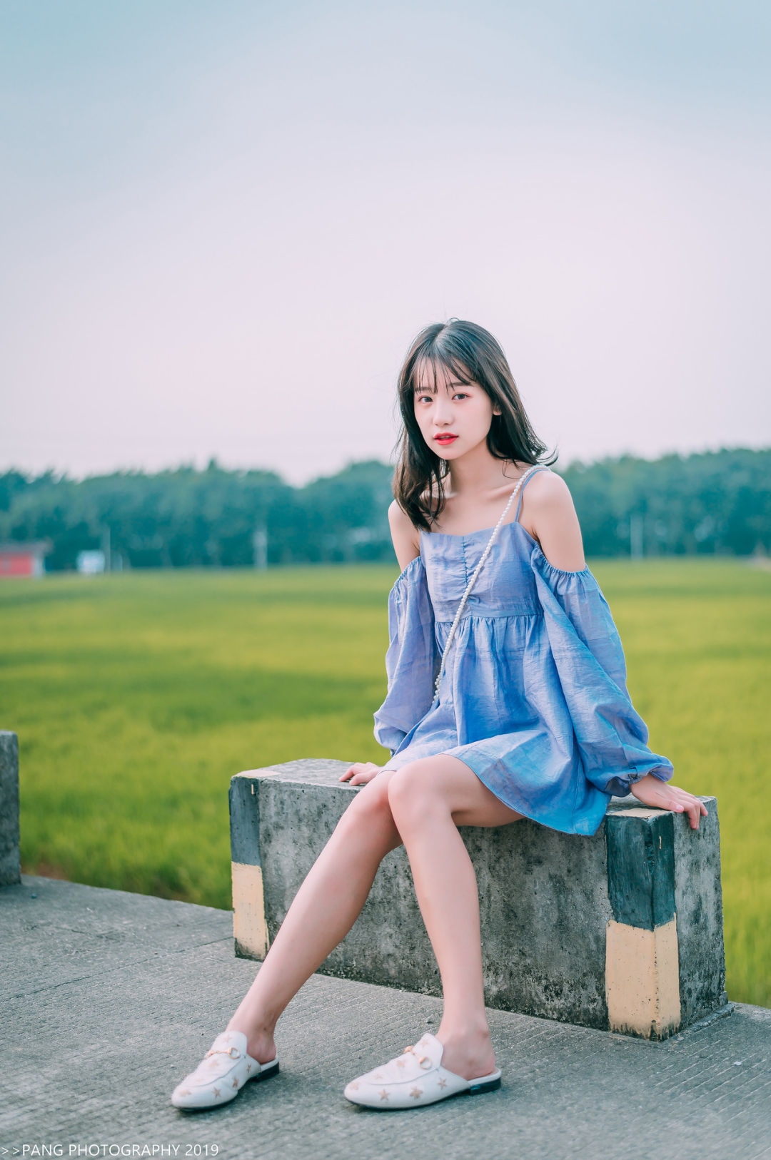 6a62c75a19198.jpg