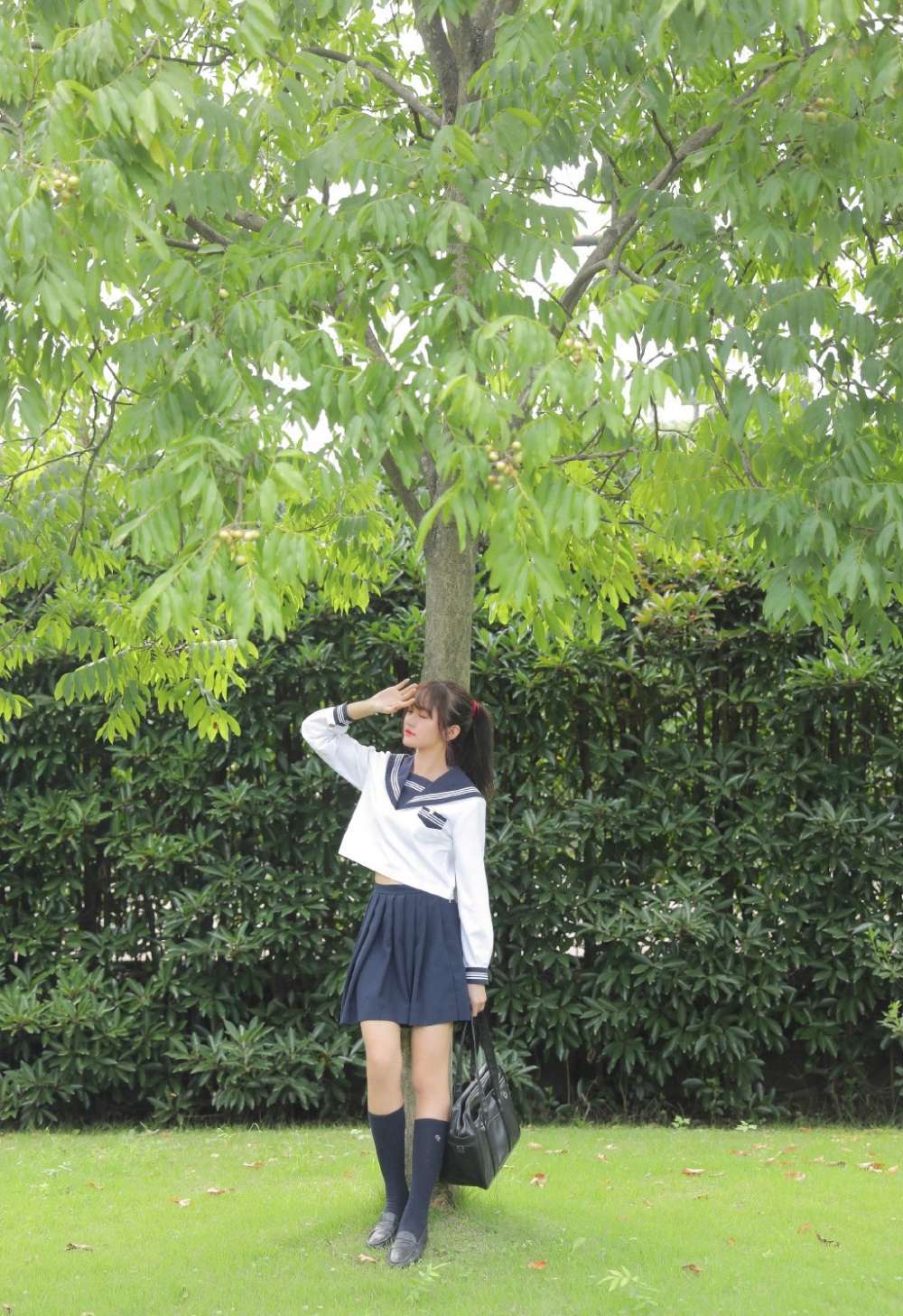 6a62c7fb9fea8.jpg