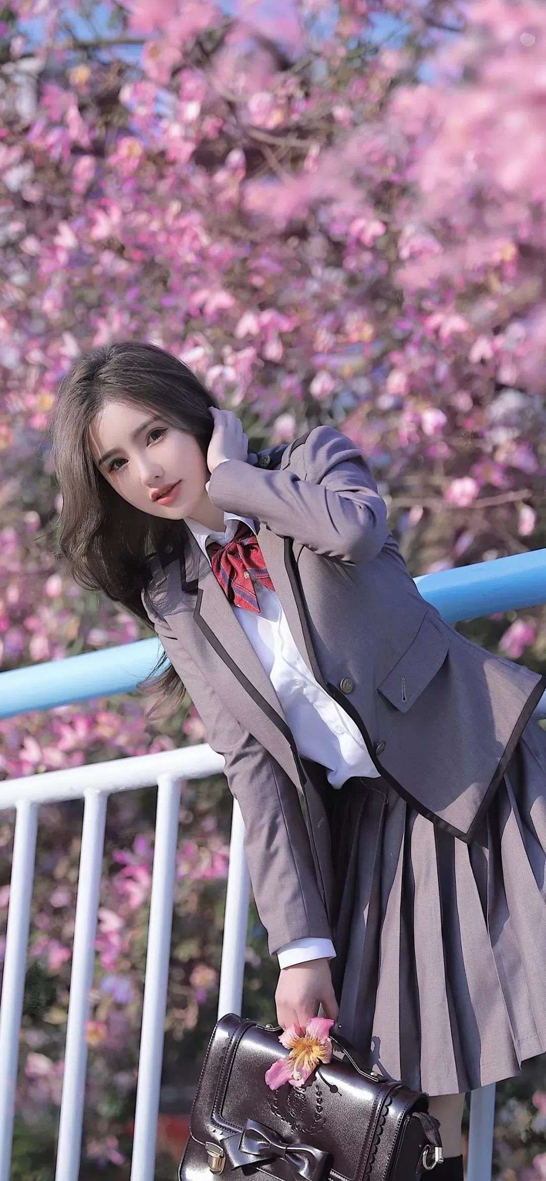 6a62c8a446bbf.jpg