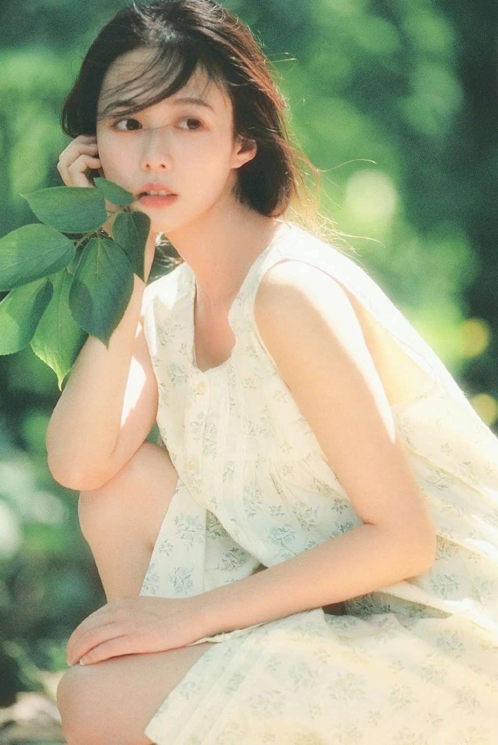 6a62c8af92fa2.jpg
