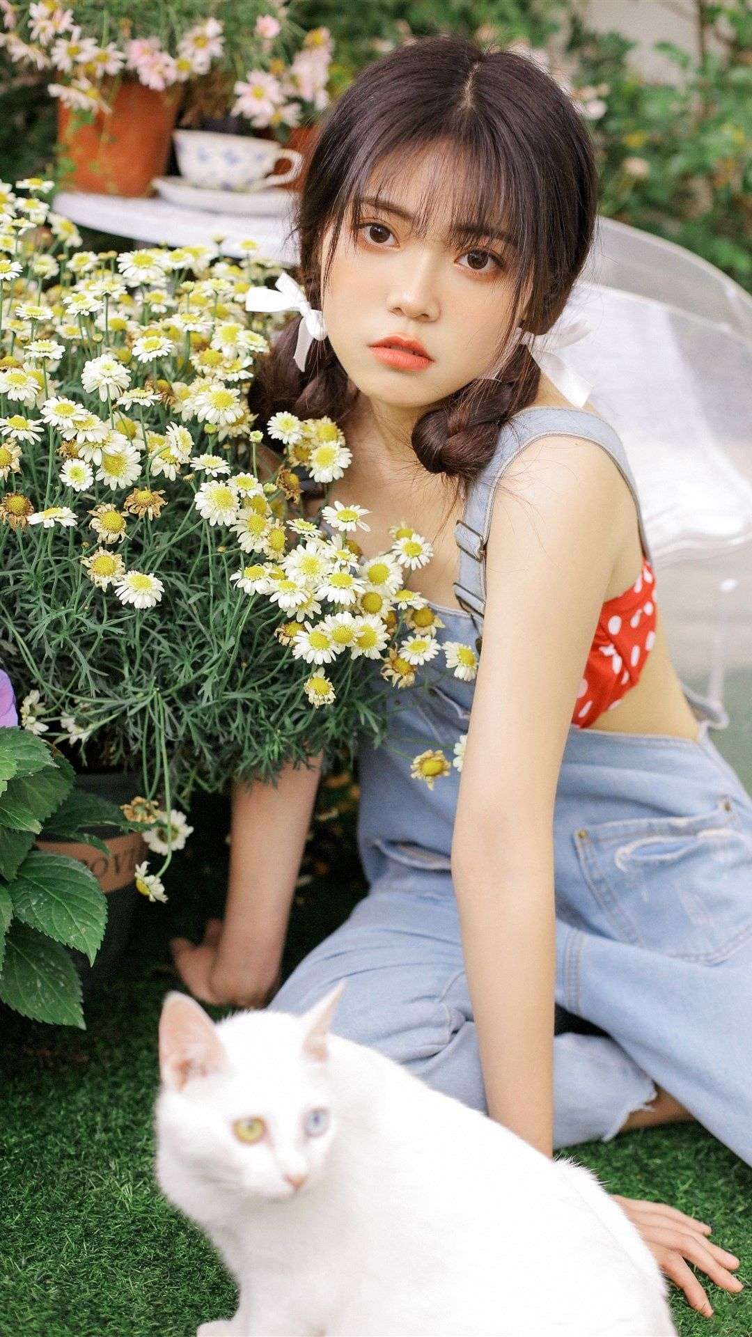 6a62c8c0a21ea.jpg