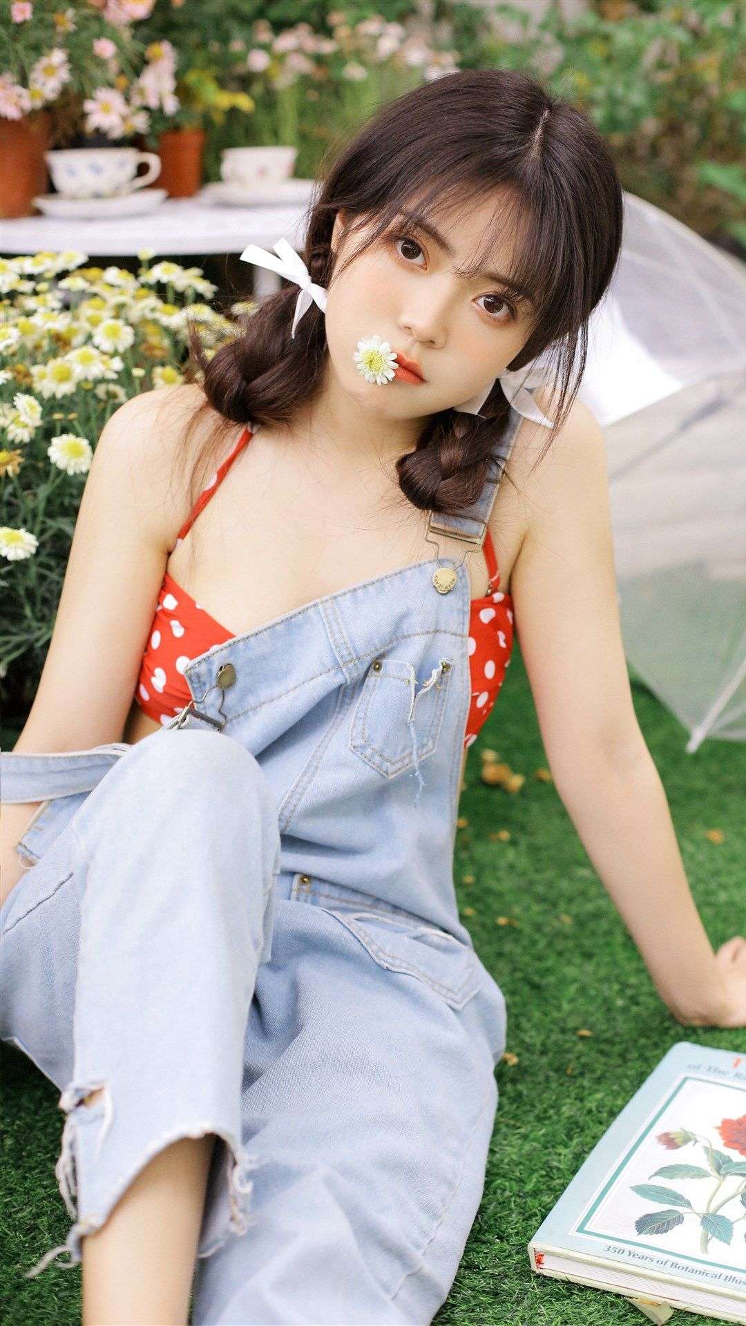 6a62c8c1450ae.jpg